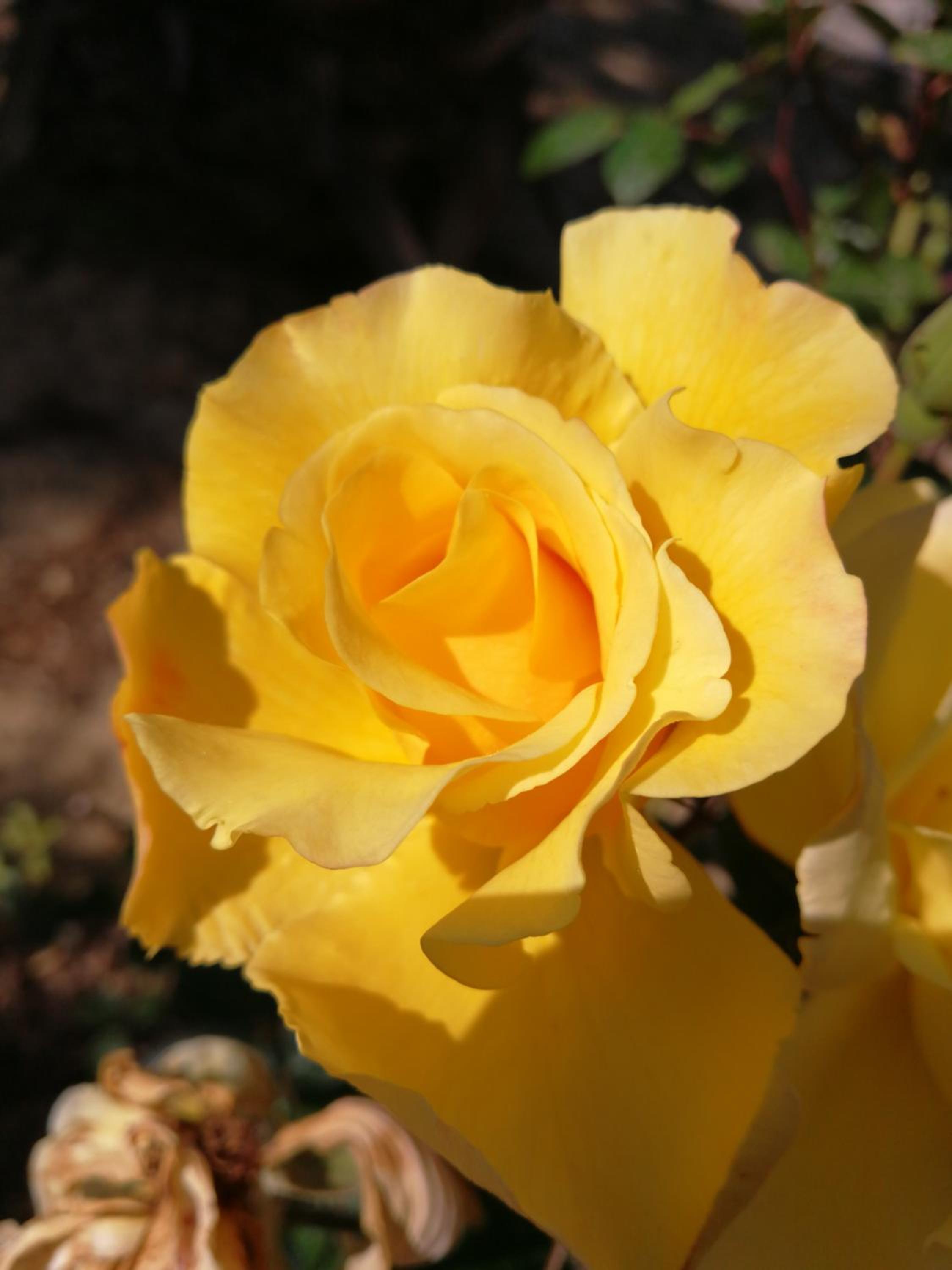 Photo 25