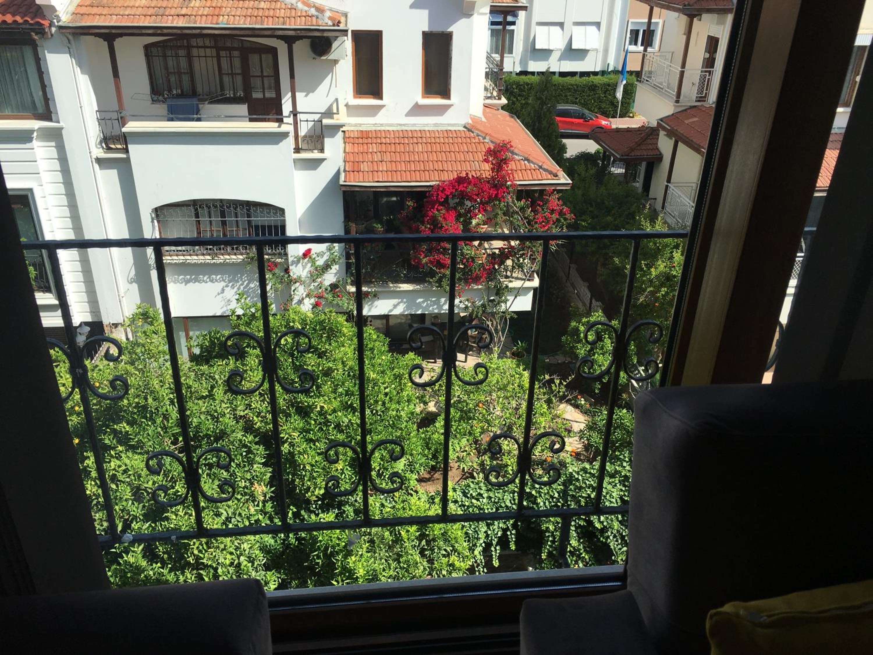 Orange Garden