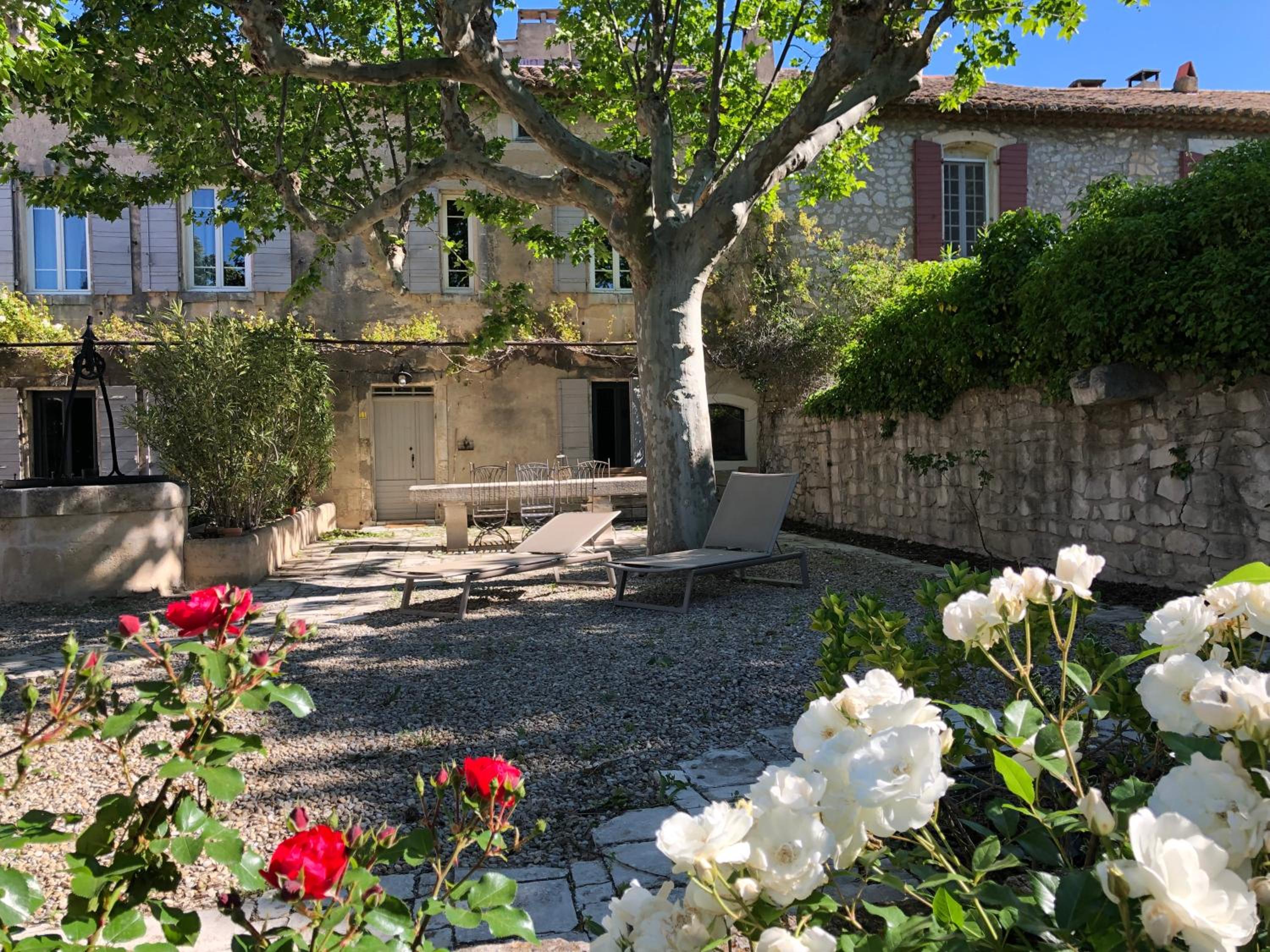 garden