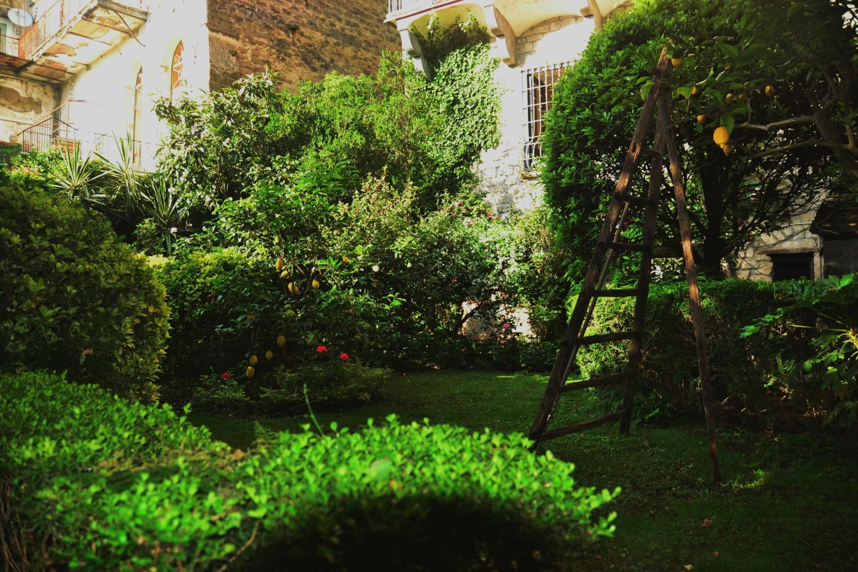 other