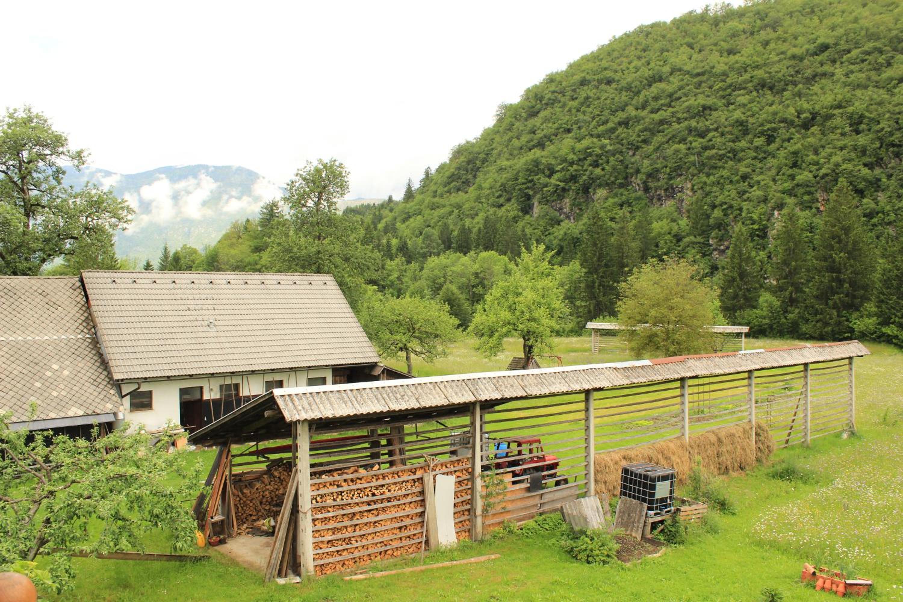 Apartments Villa Dov view 4
