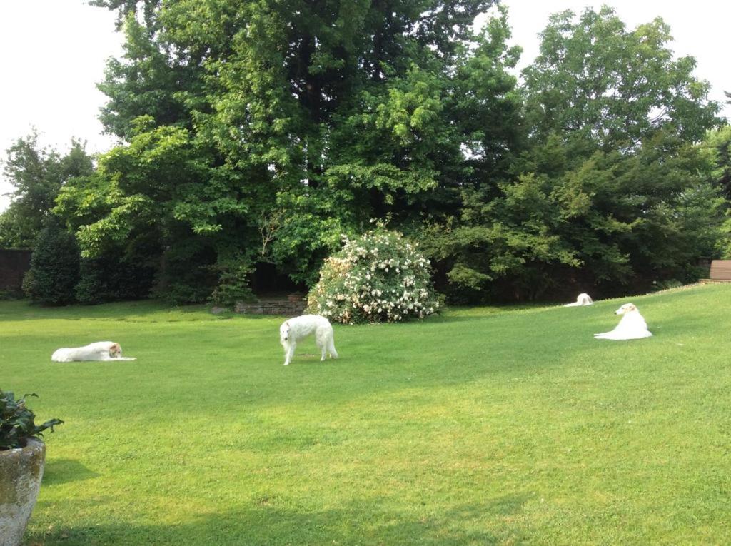 Photo 44