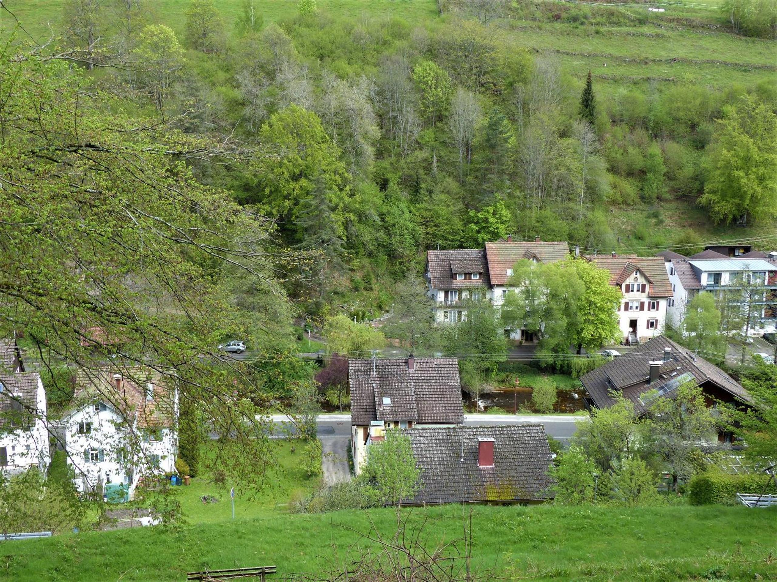 Ferienwohnungen in Schönmünzach