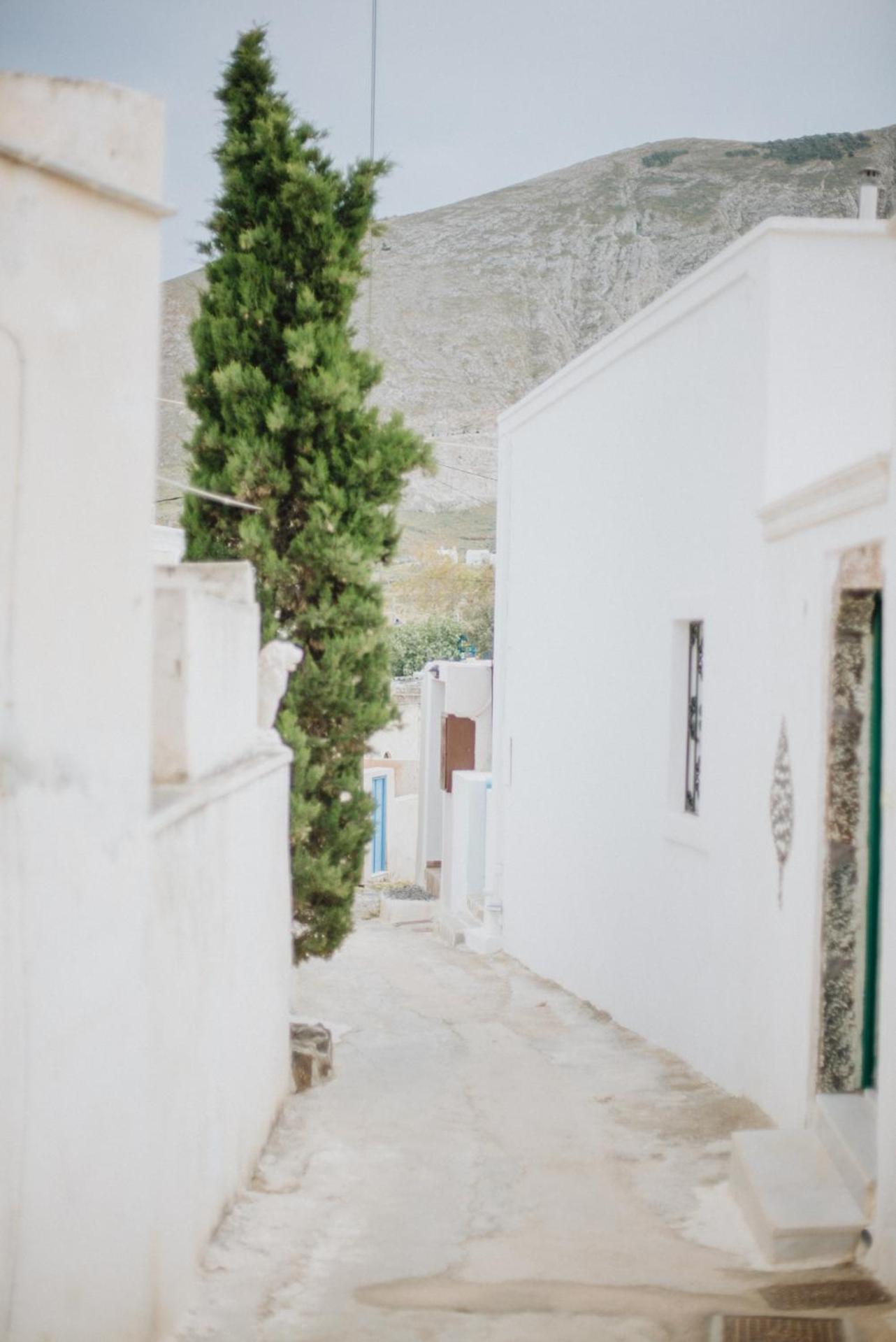 Pueblo Viejo Suites photo 5