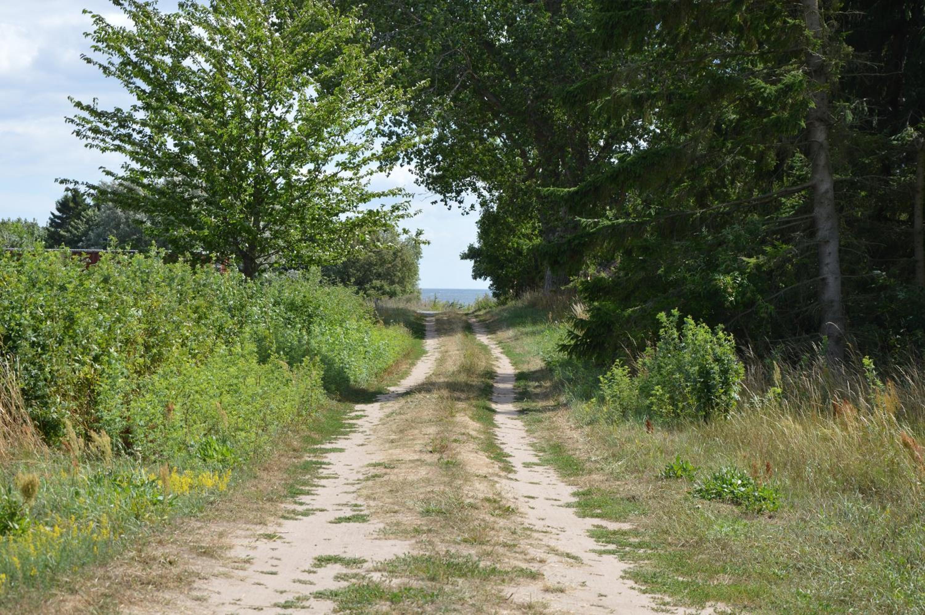 Photo 30