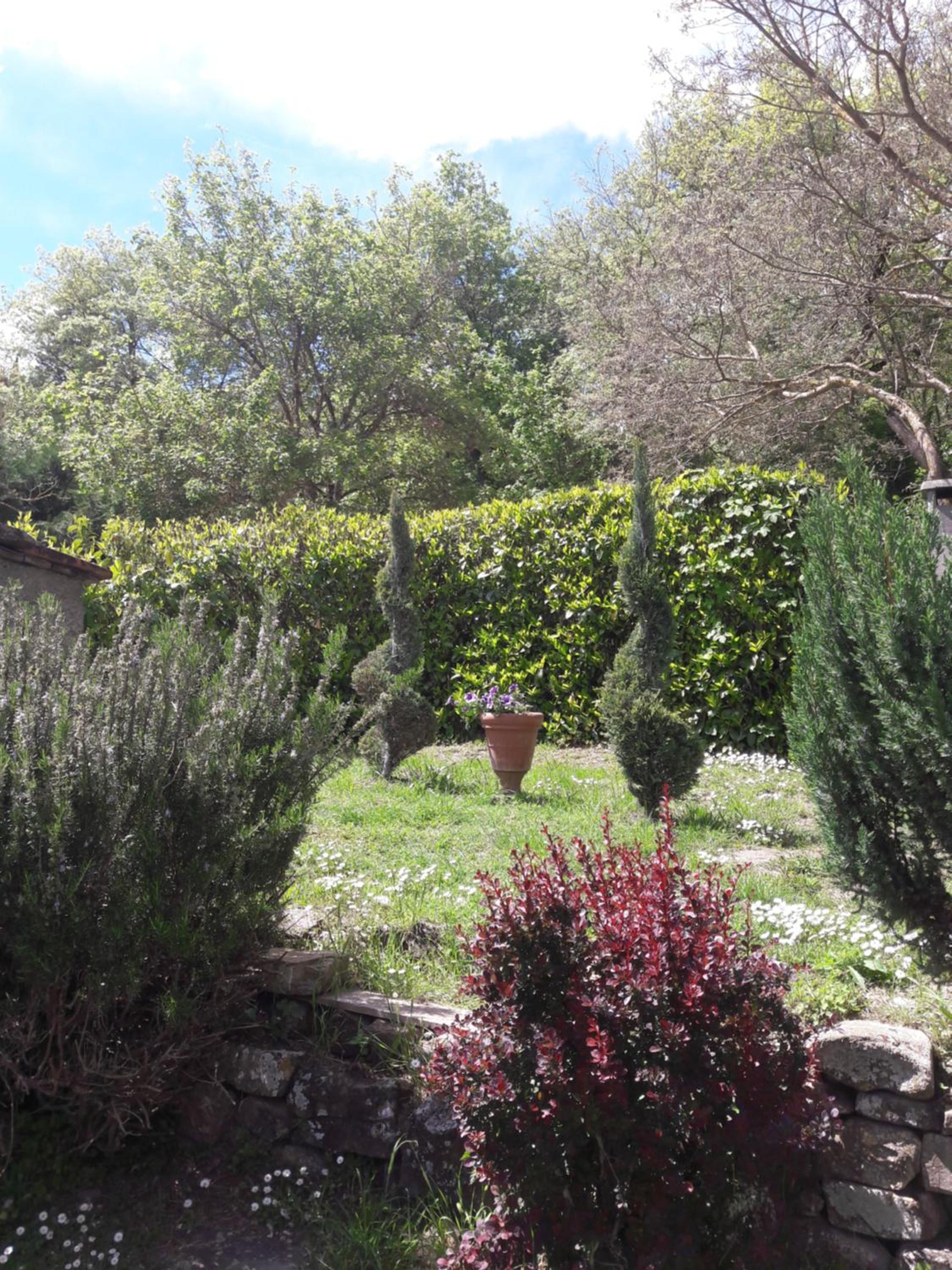 Photo 26