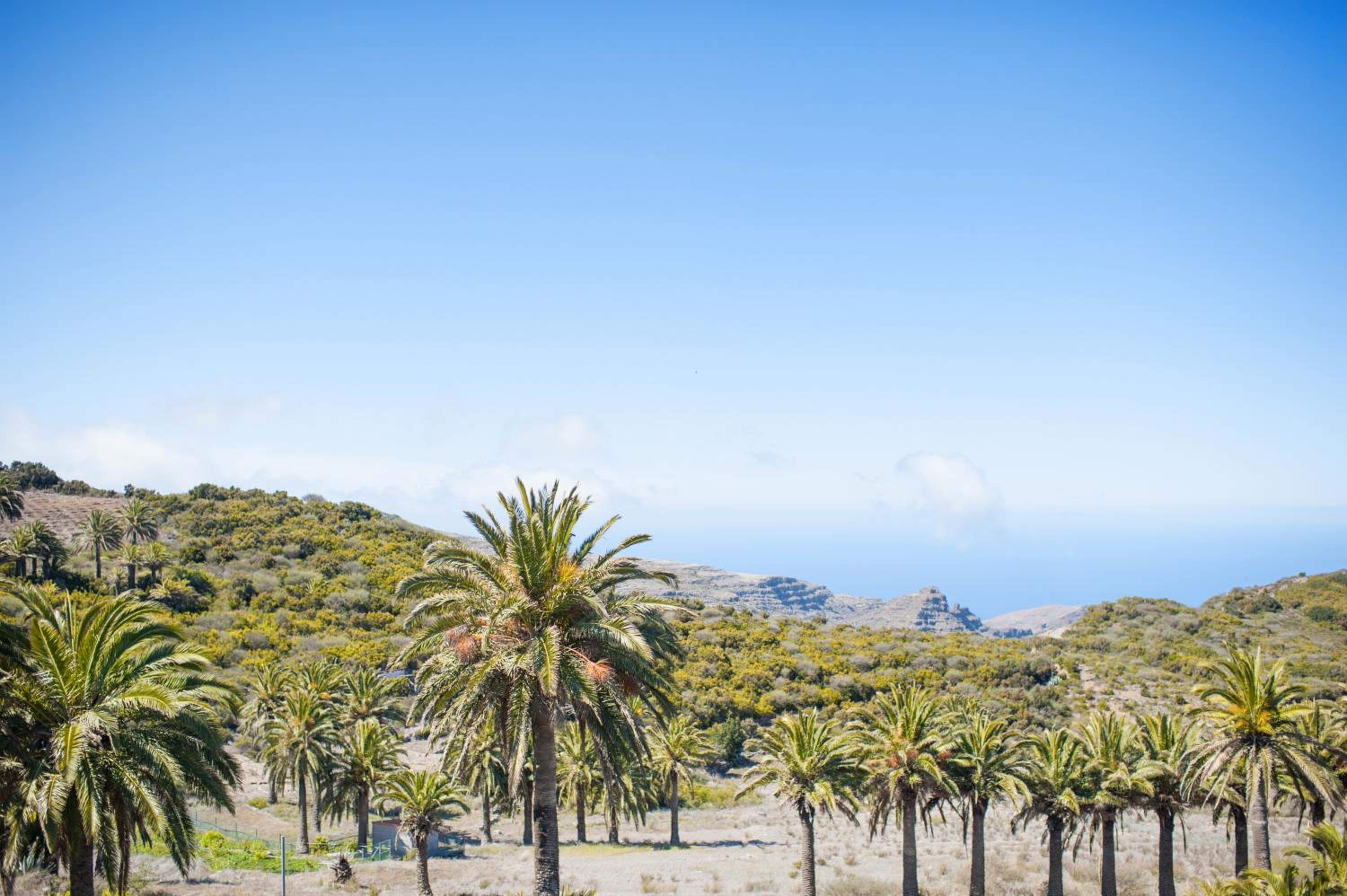 Jardin Las Hayas