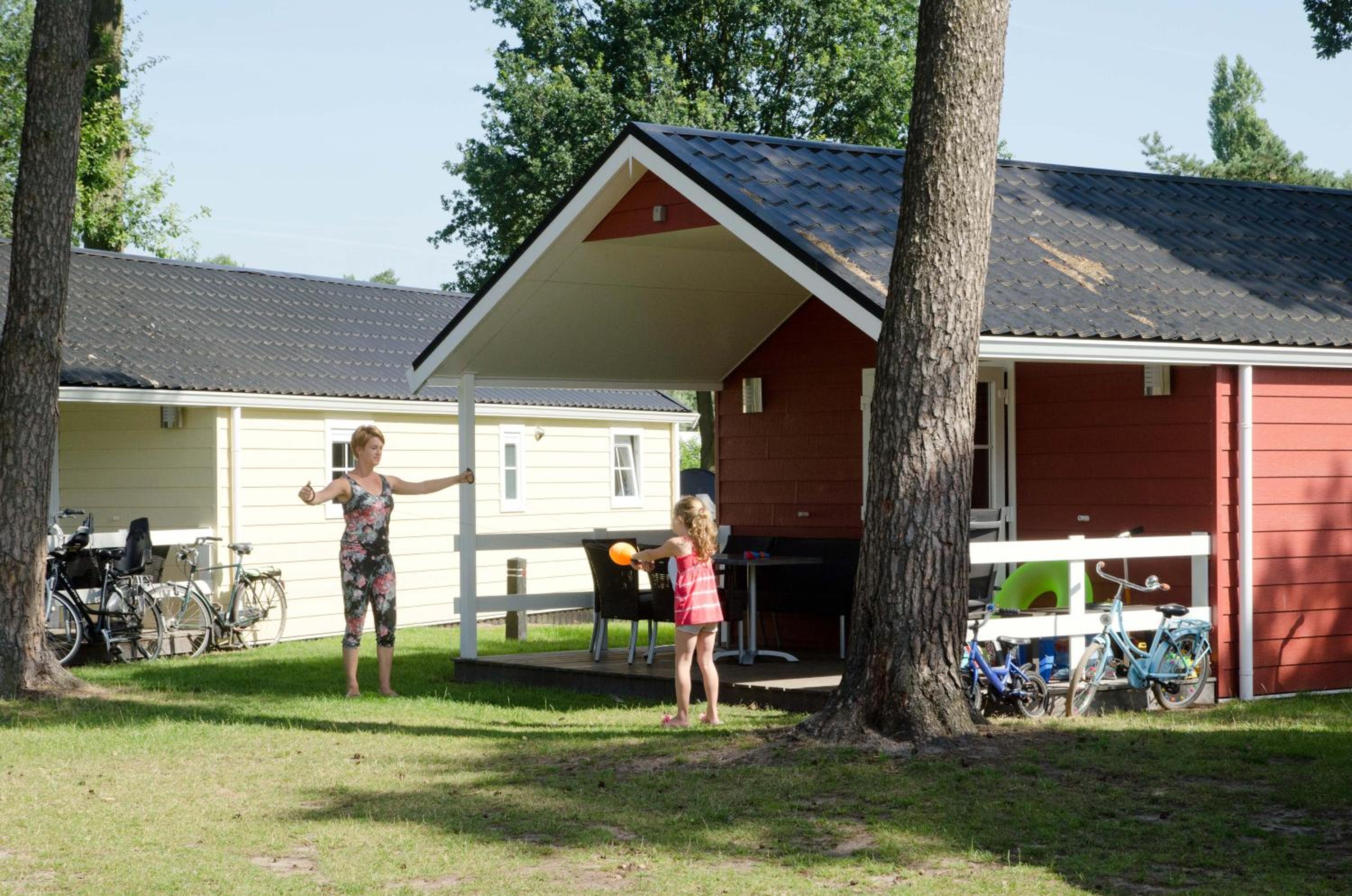 Lodge Camping de Molenhof voor 6 personen view 3