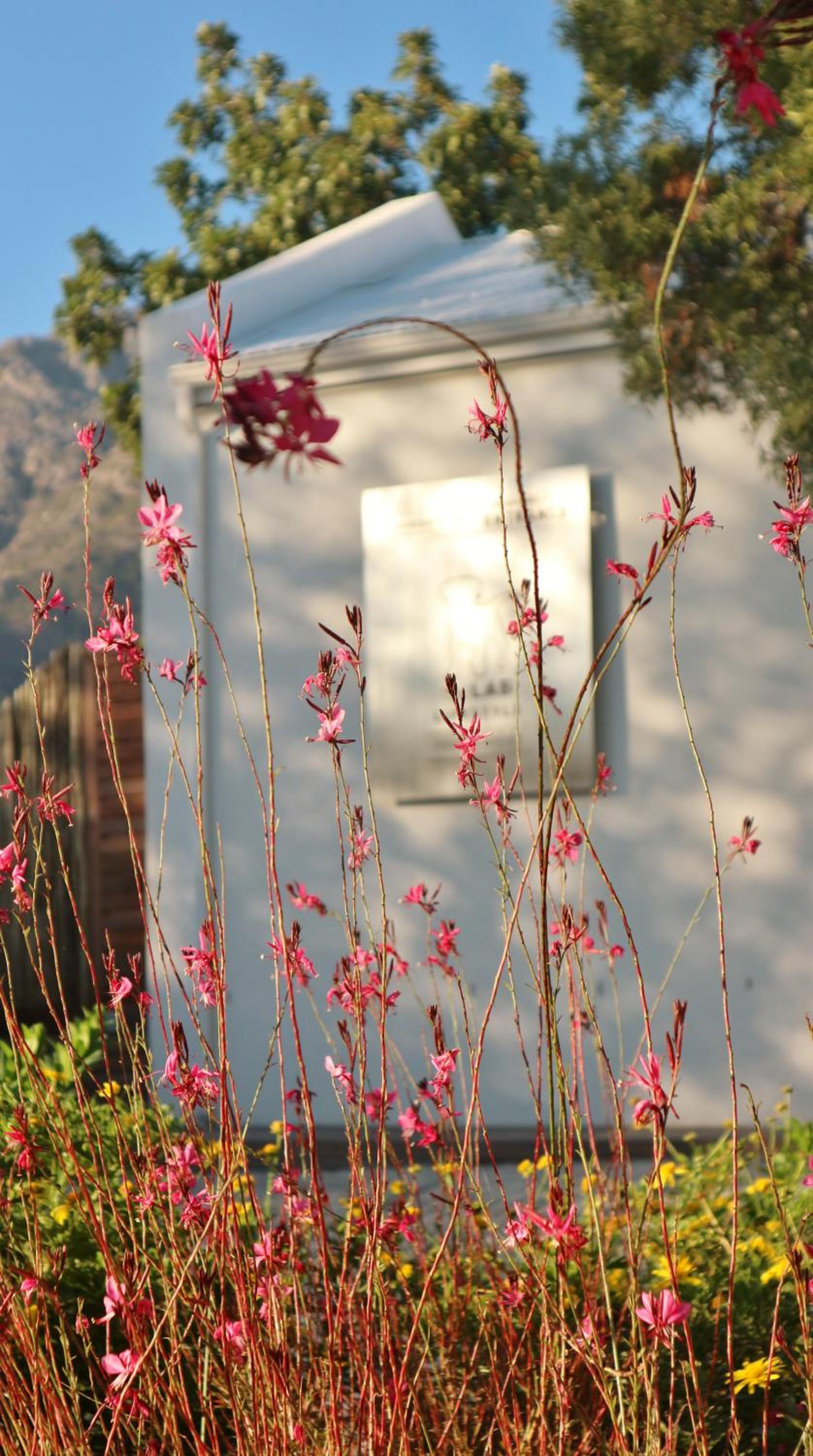 theLAB Franschhoek