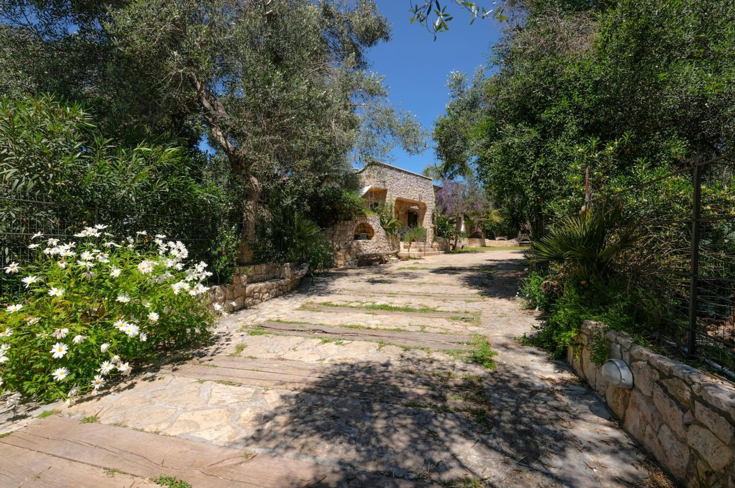 Photo 26