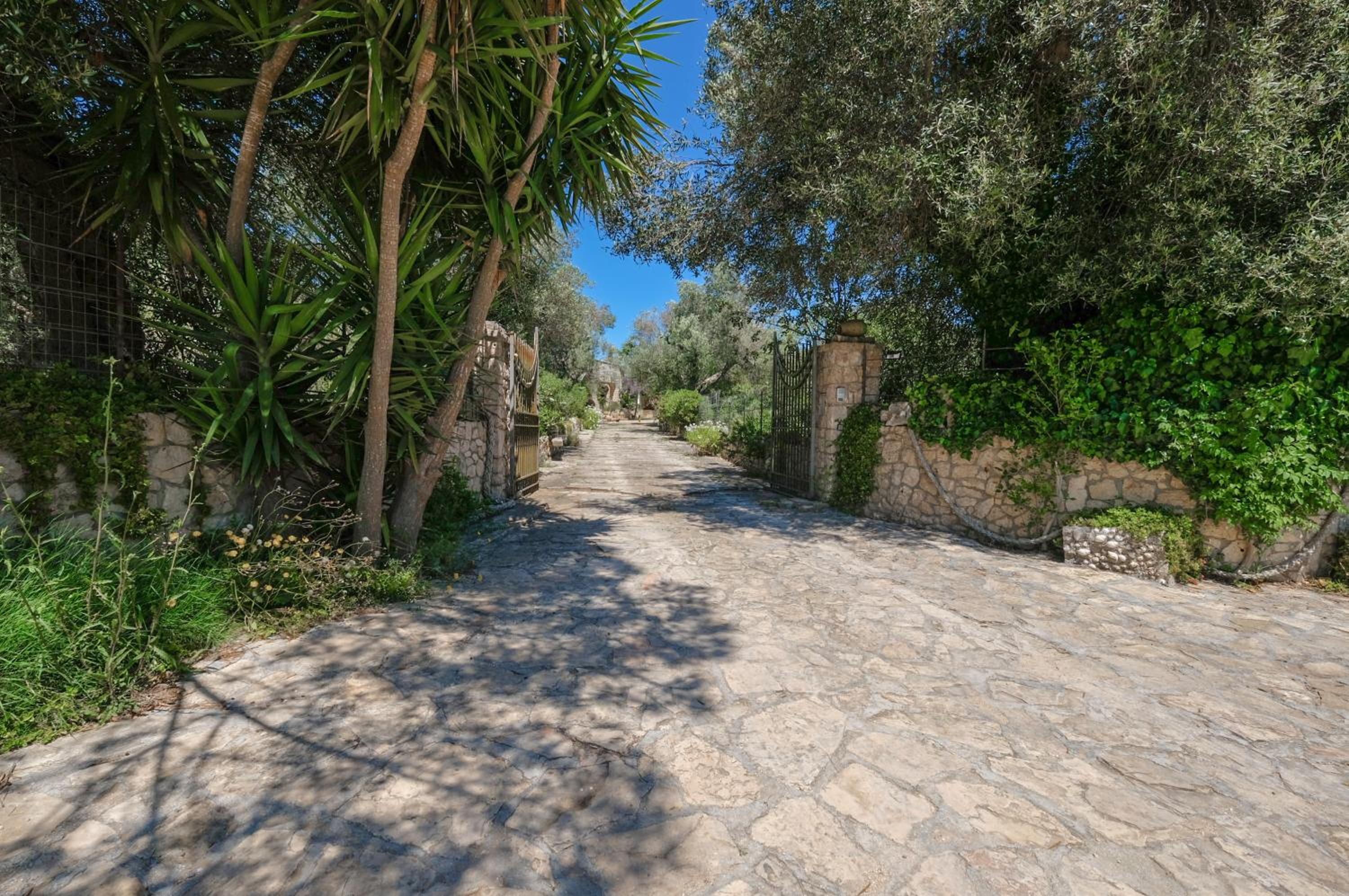 Photo 25