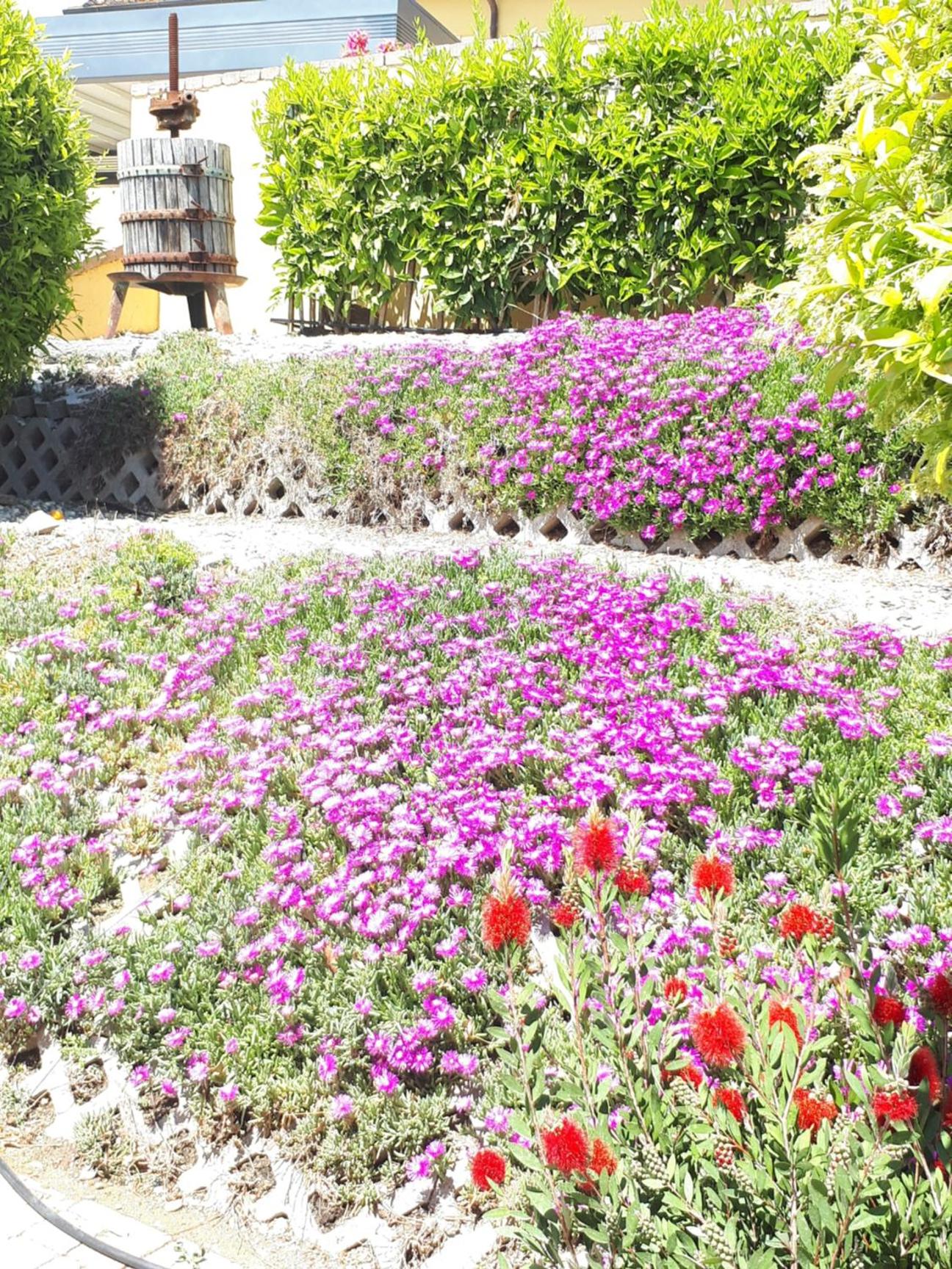 Agriturismo Villa Bracali