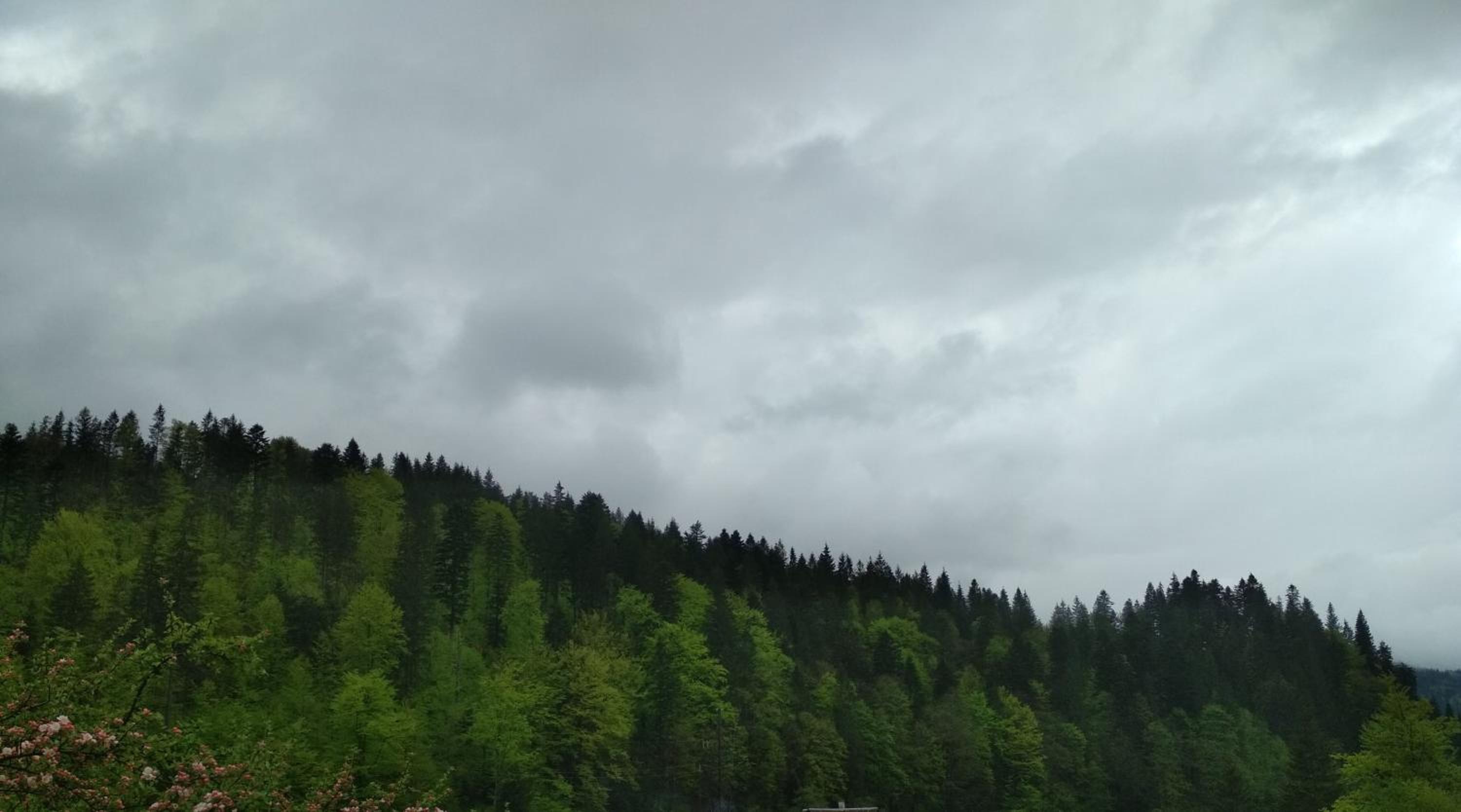 Na Horbyku
