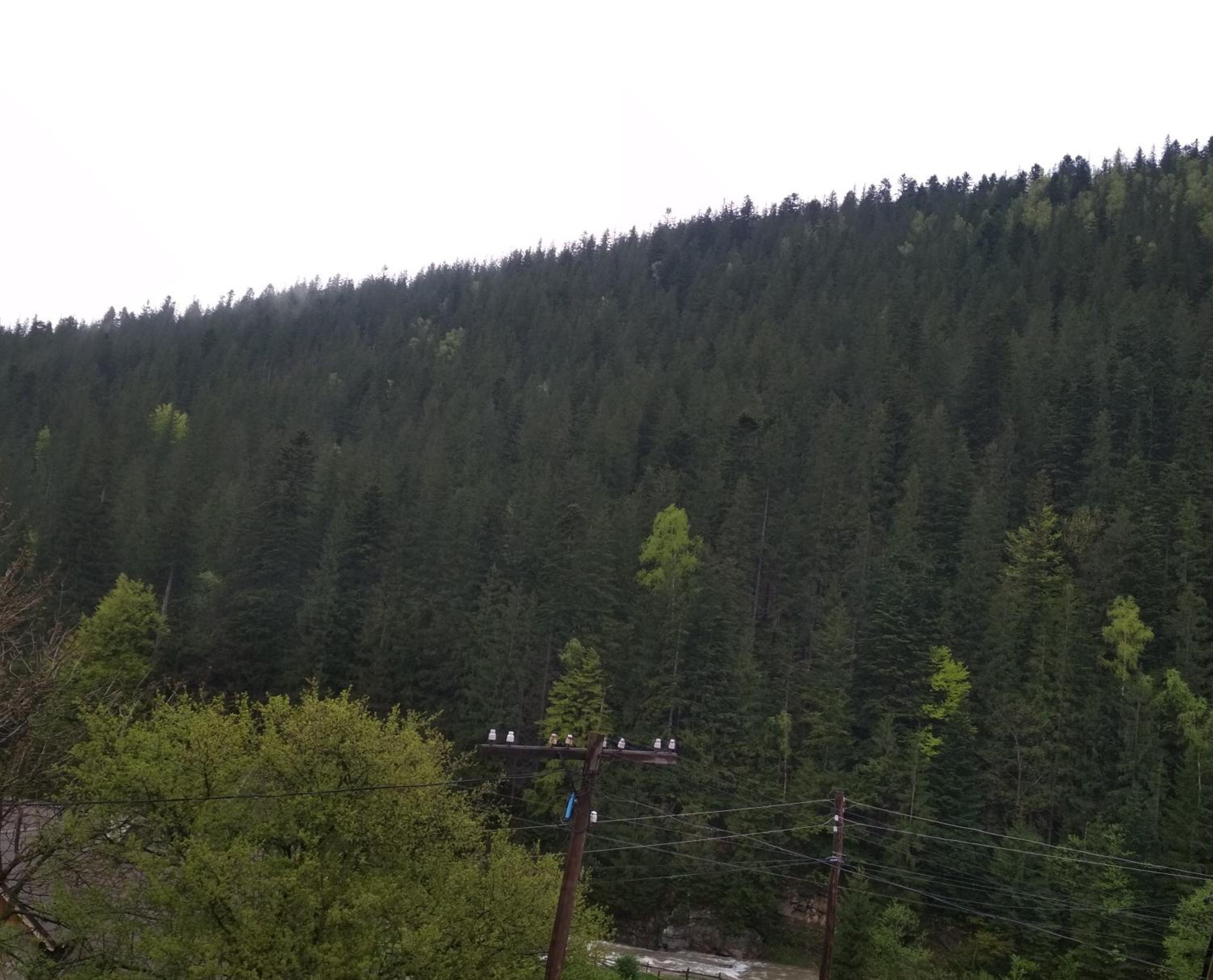 Na Horbyku