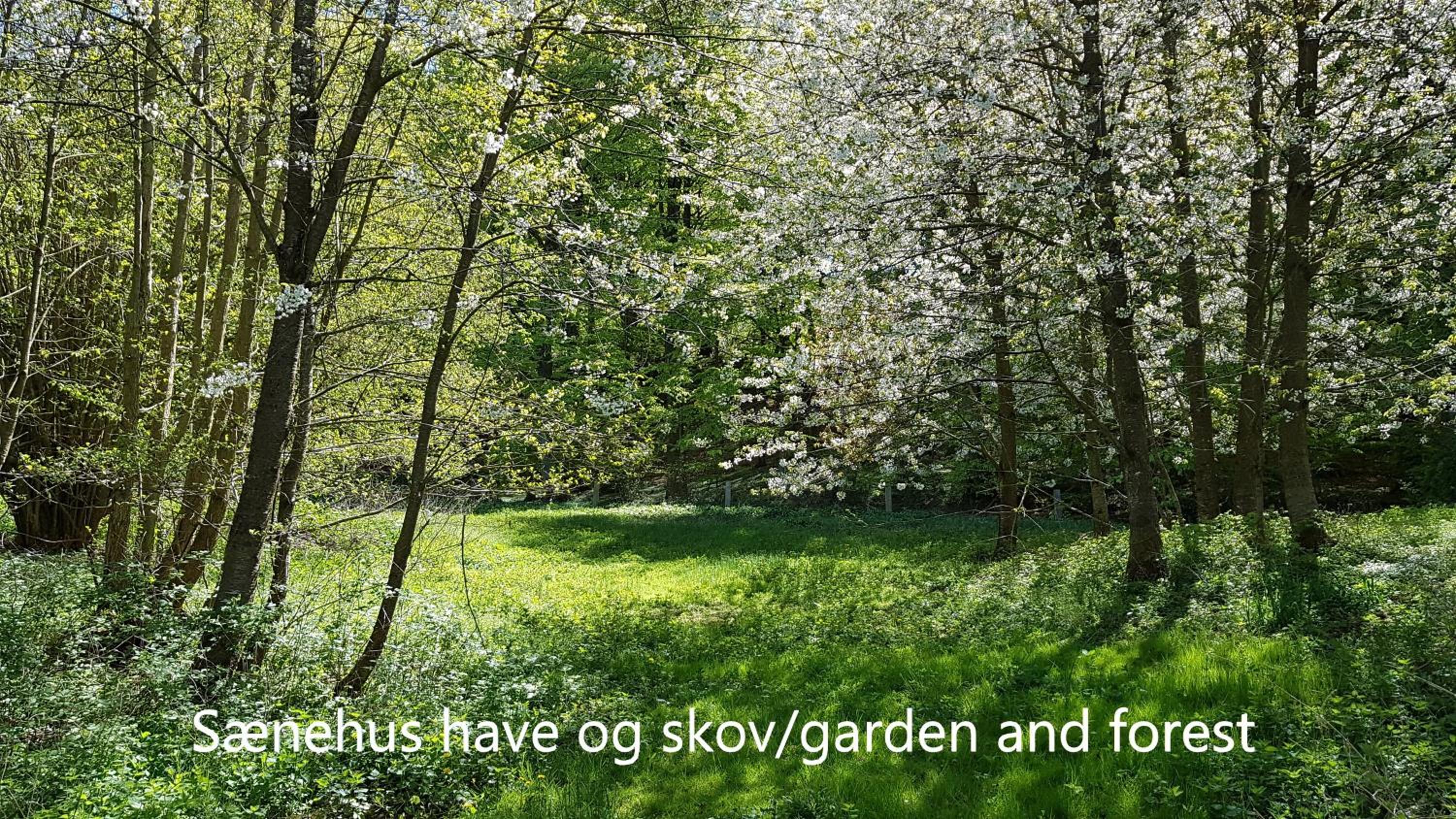 Sænehus Husmandssted