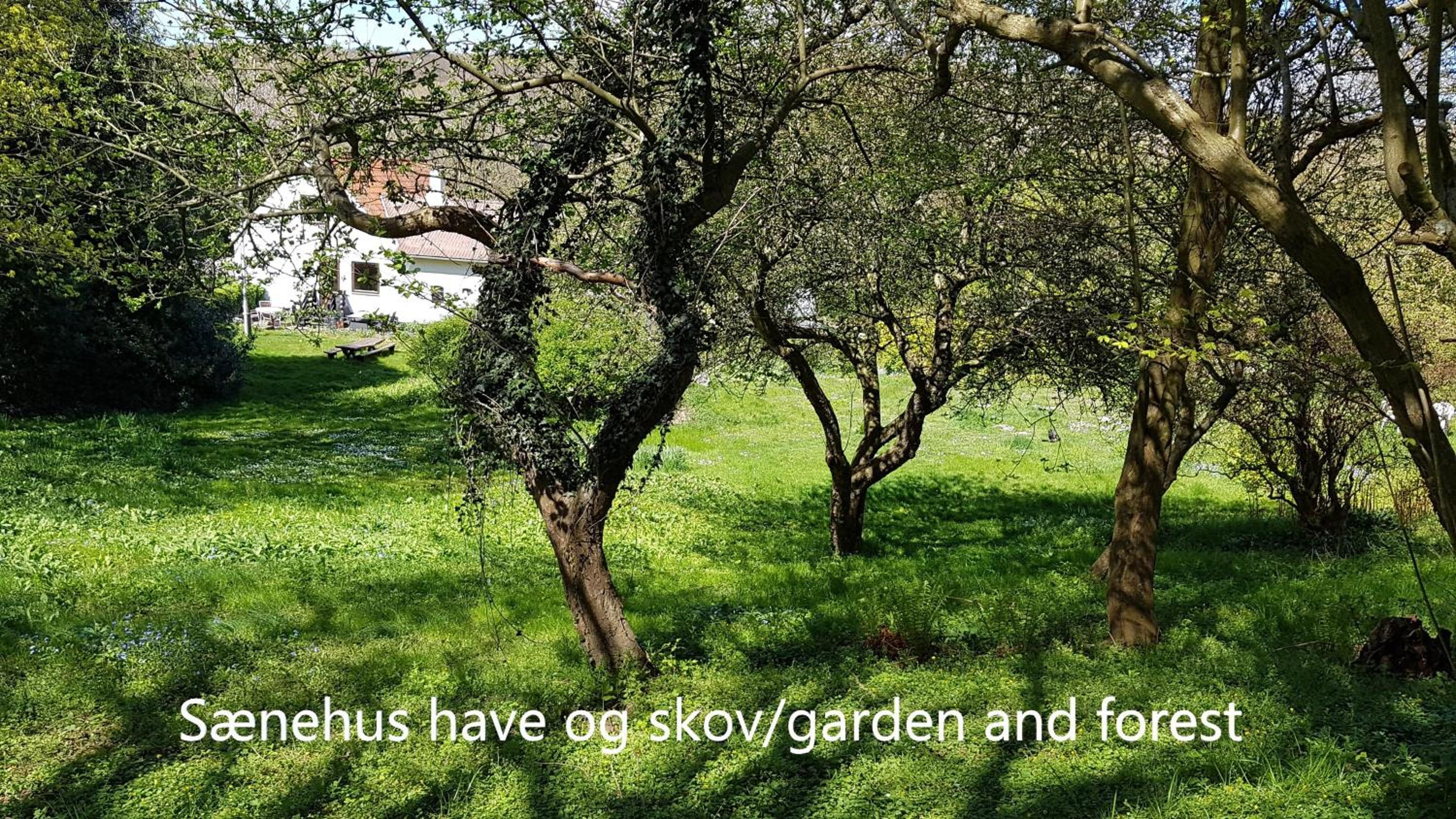 Sænehus Husmandssted