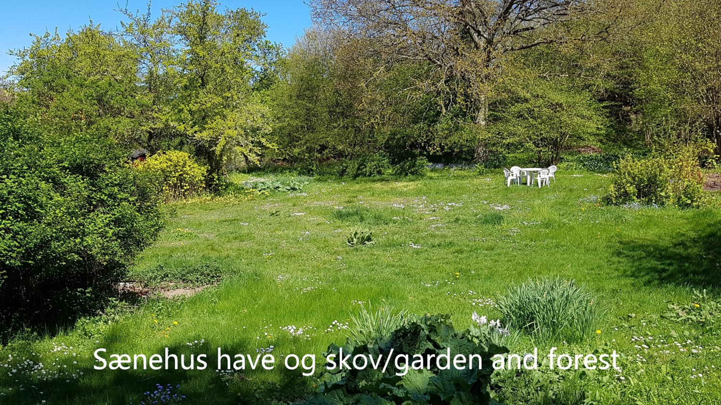 Sænehus Husmandssted