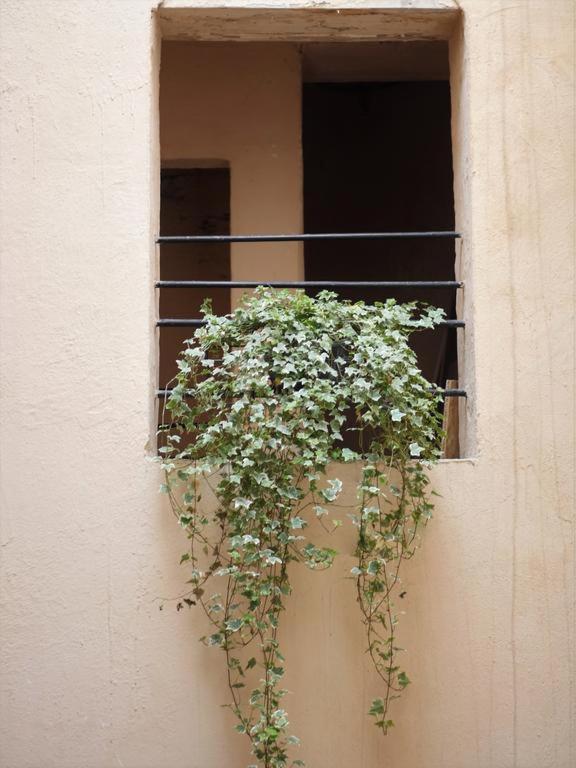 Chemin du muguet