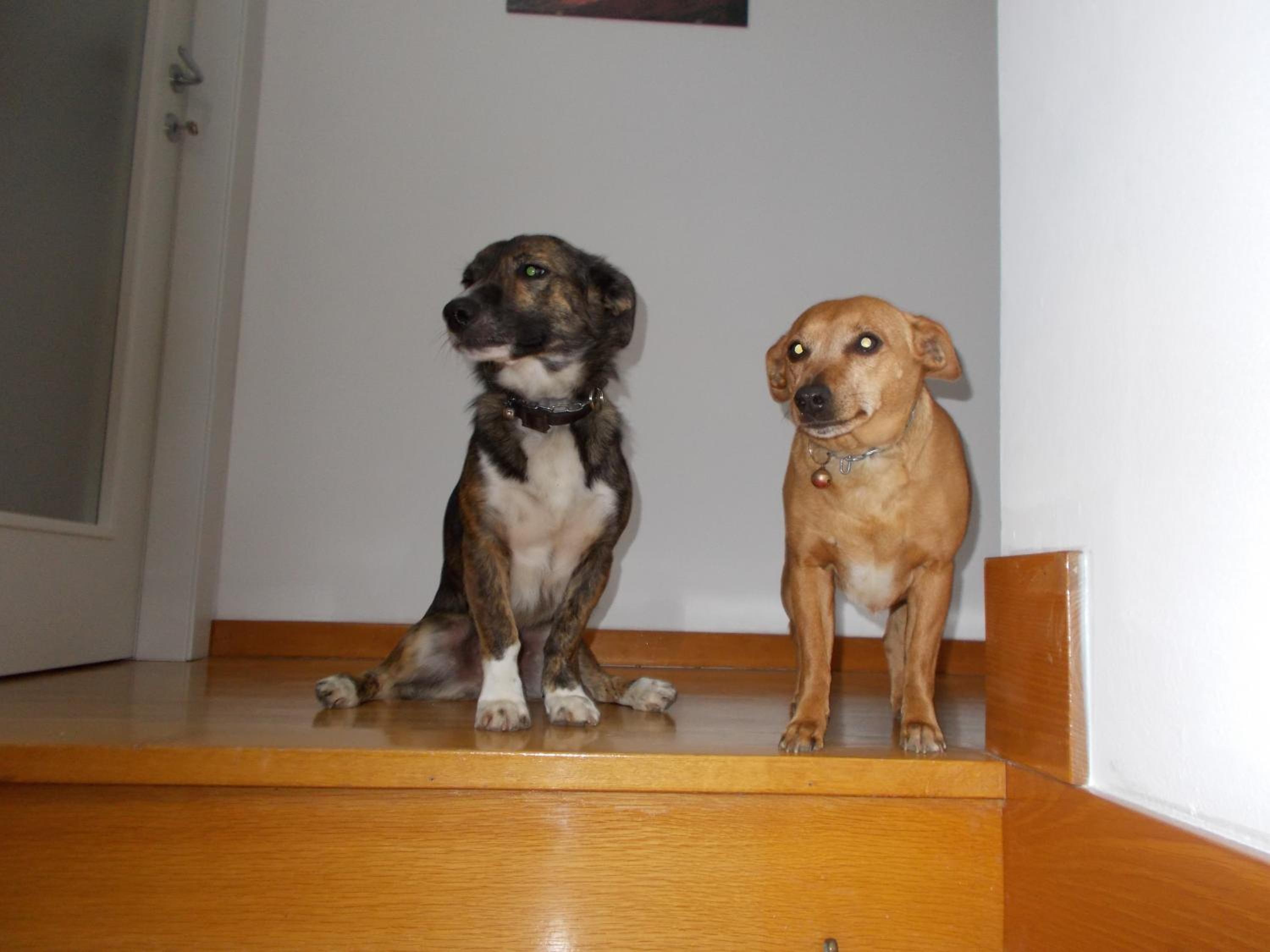 Photo 32