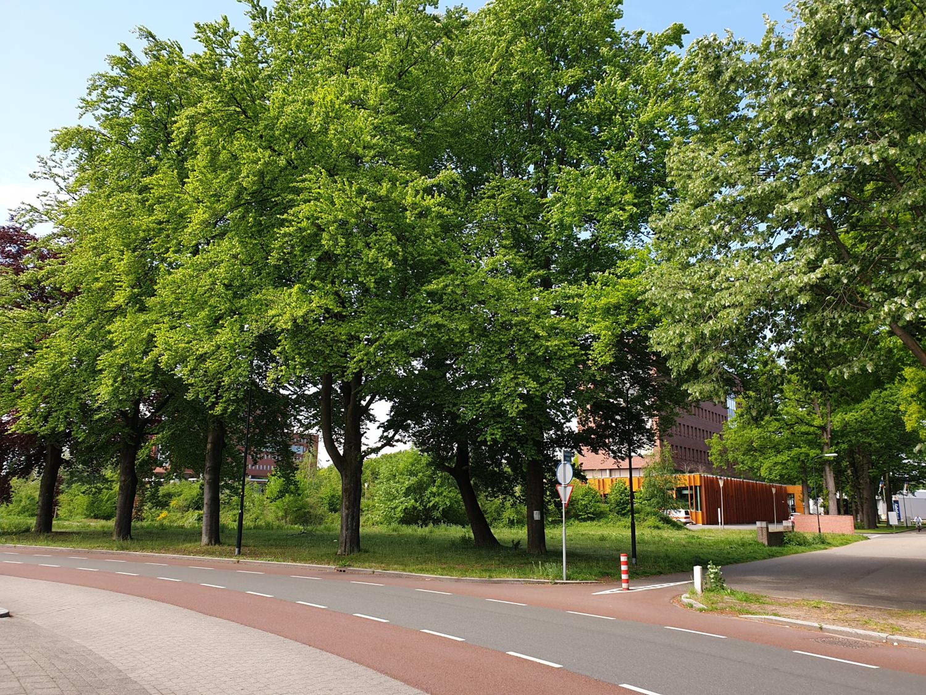 Studio in Stijl en Apeldoorn — other