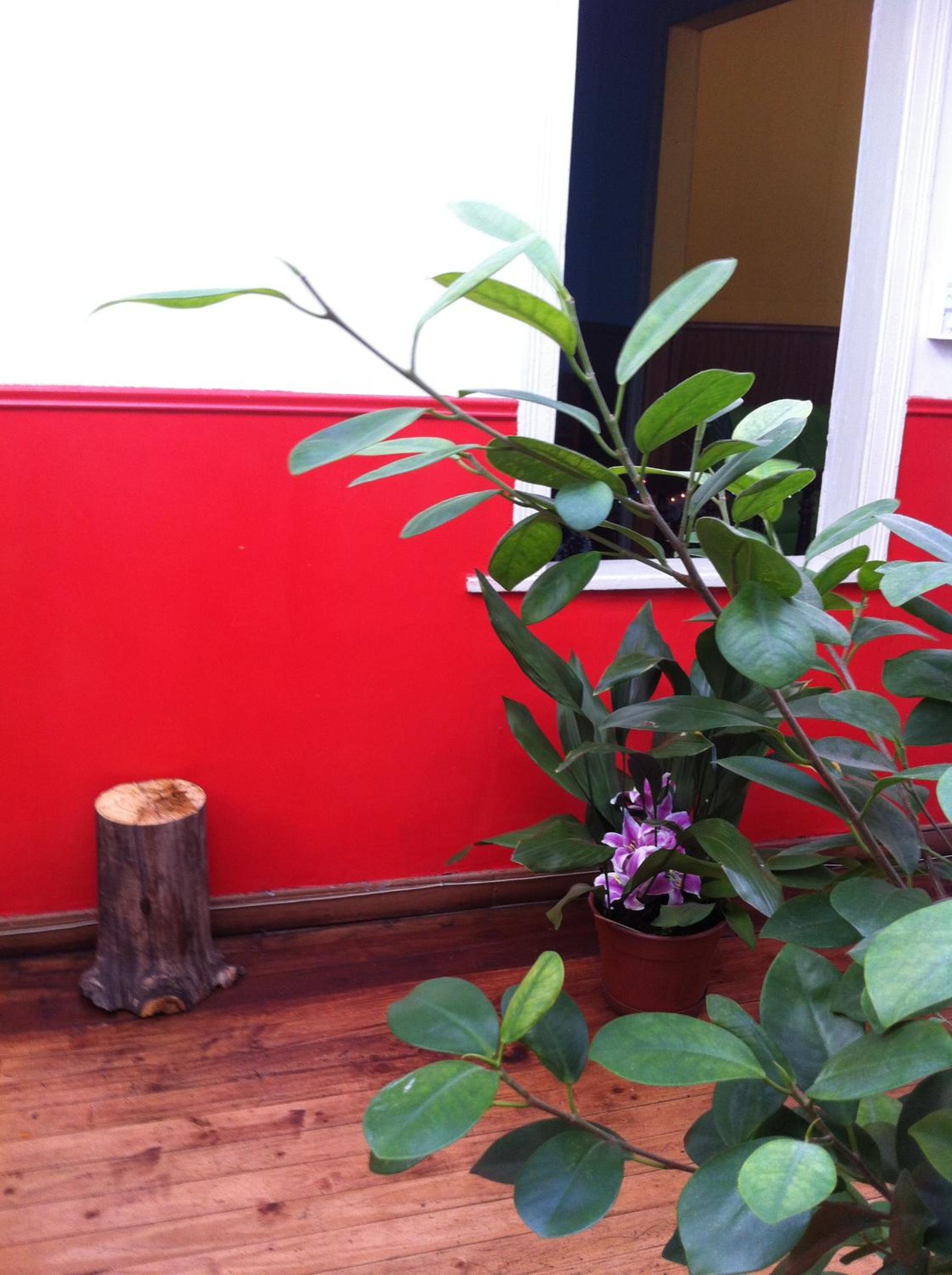 Hostal Tricontinental