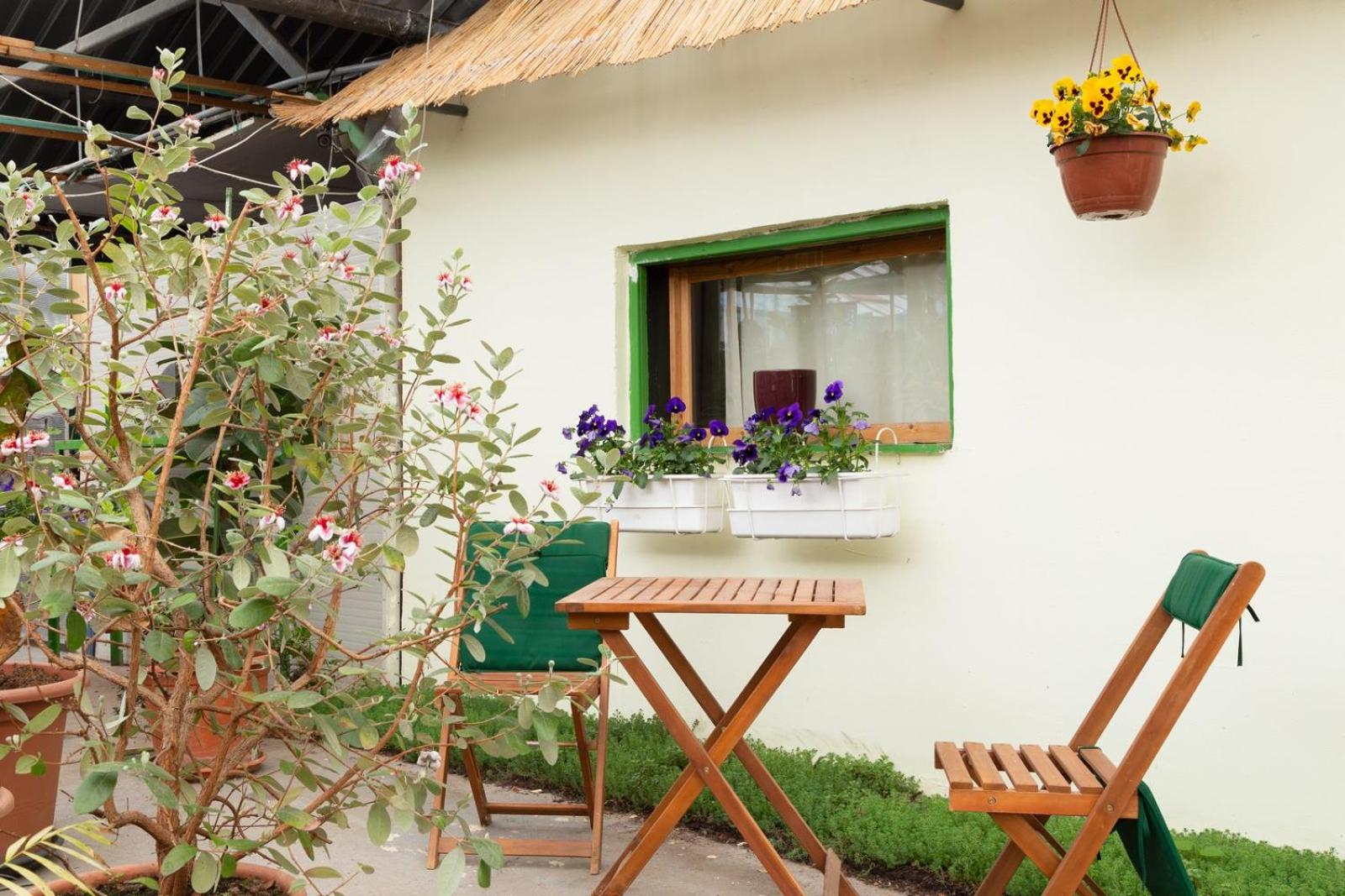 Rastlinky.sk Greenhouse Guestrooms