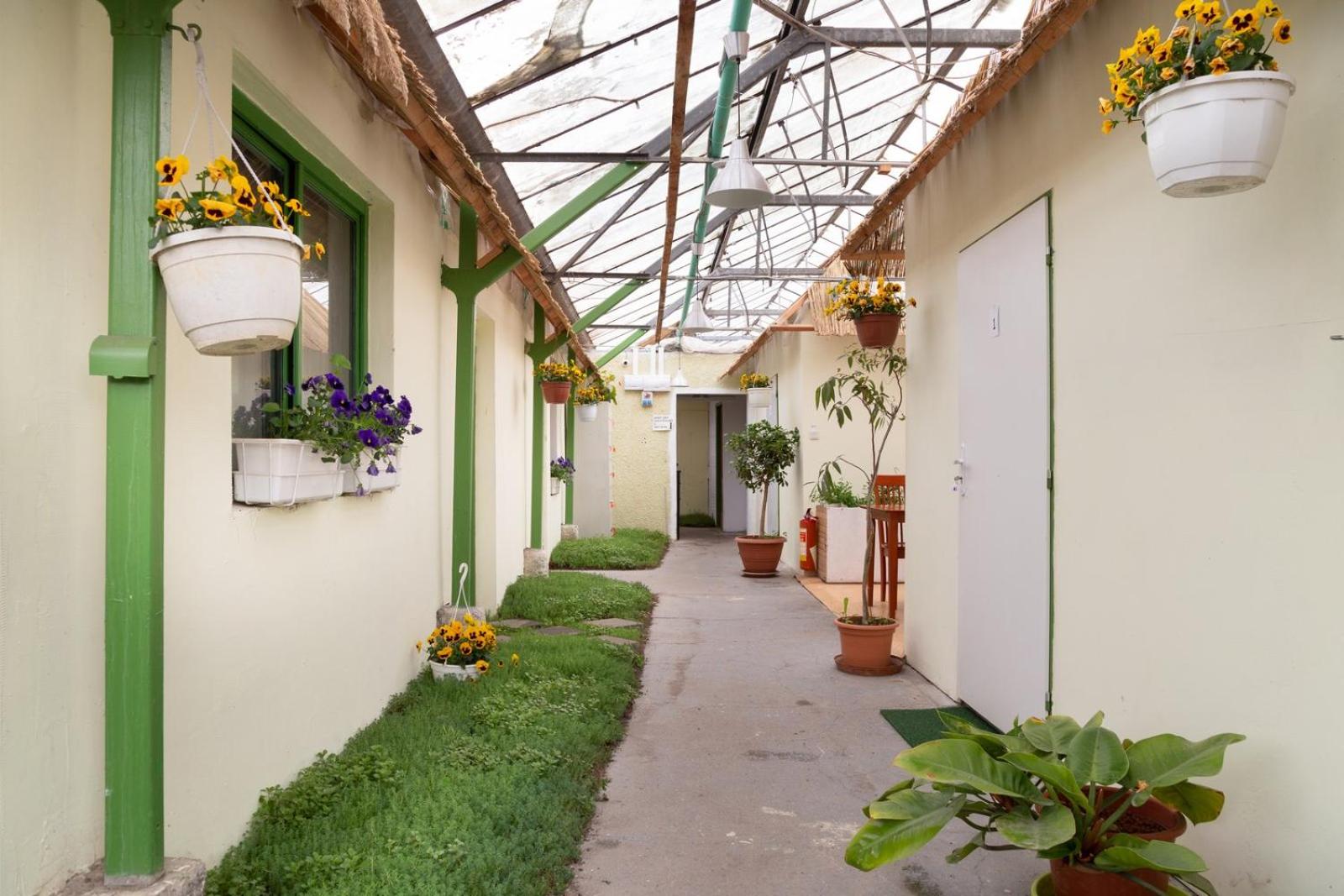 Rastlinky.sk Greenhouse Guestrooms, photo 9