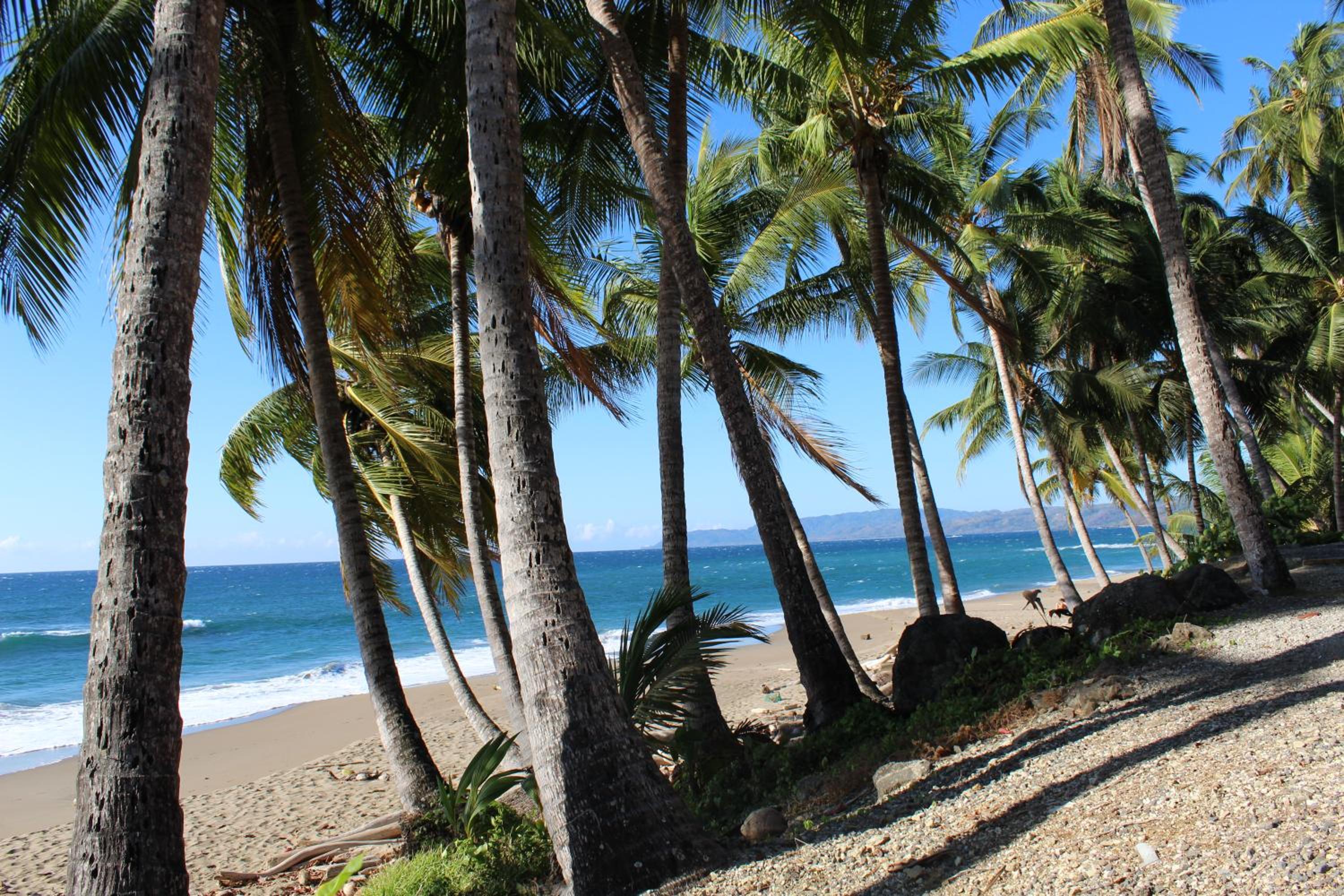 Ocean View Echemare Tango Mar