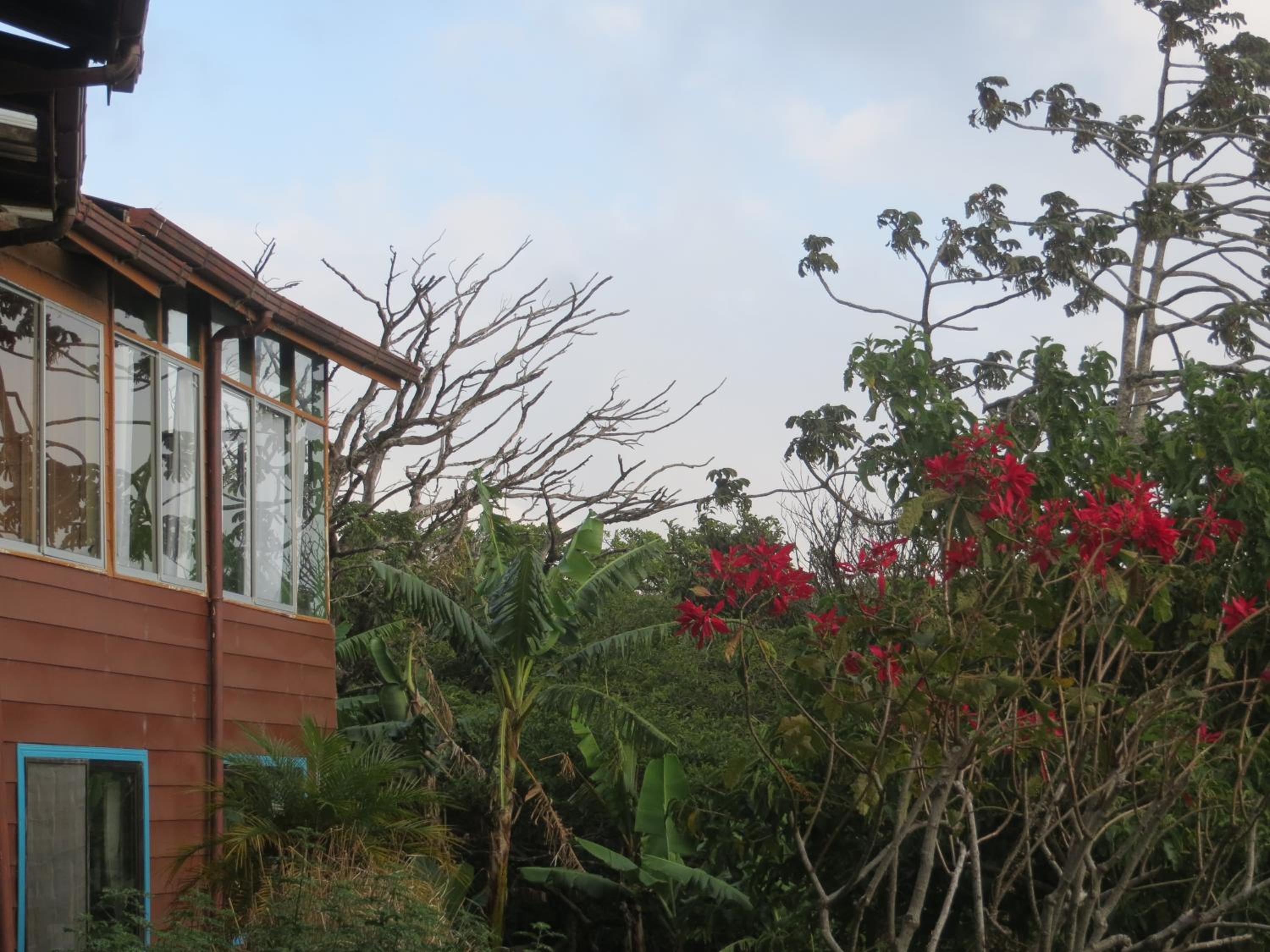 Apartamento ArteSAna - Jardín de la Diosa