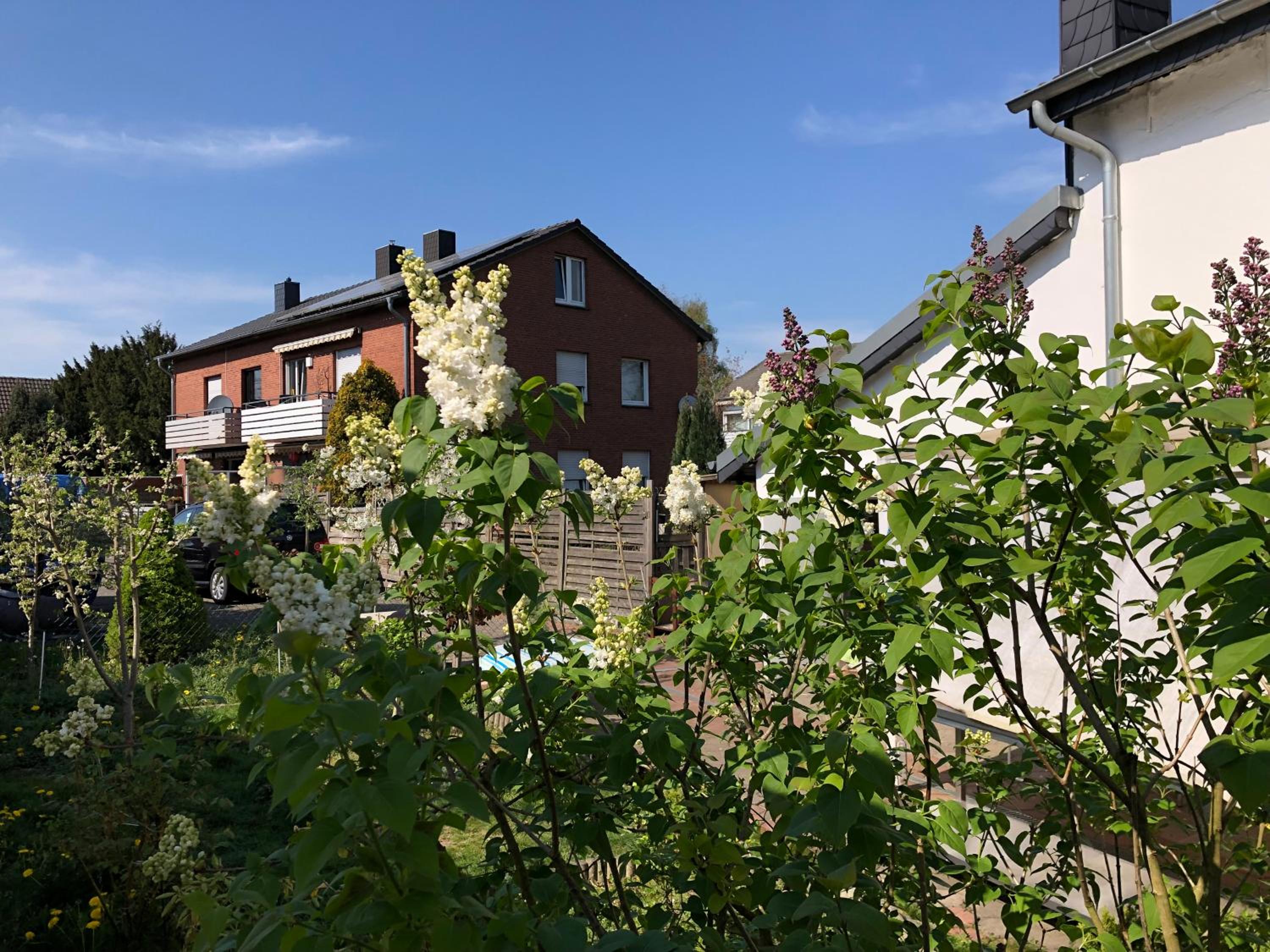 Kleve-Kellen 1, photo 8