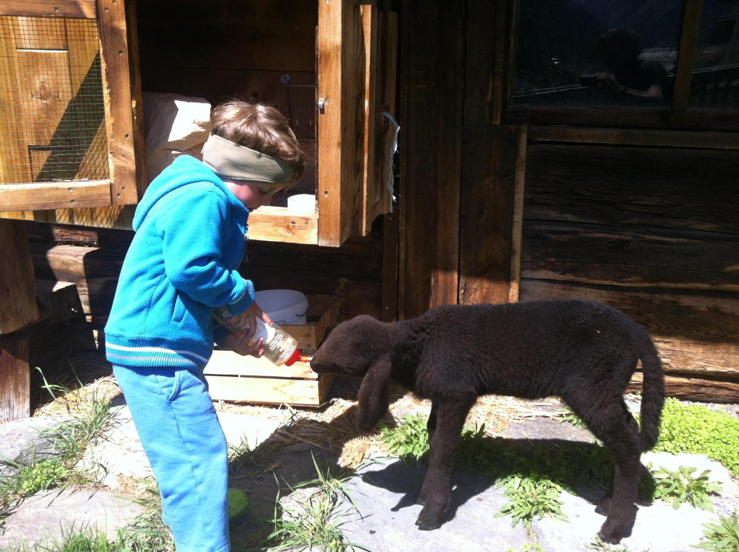 Photo 47