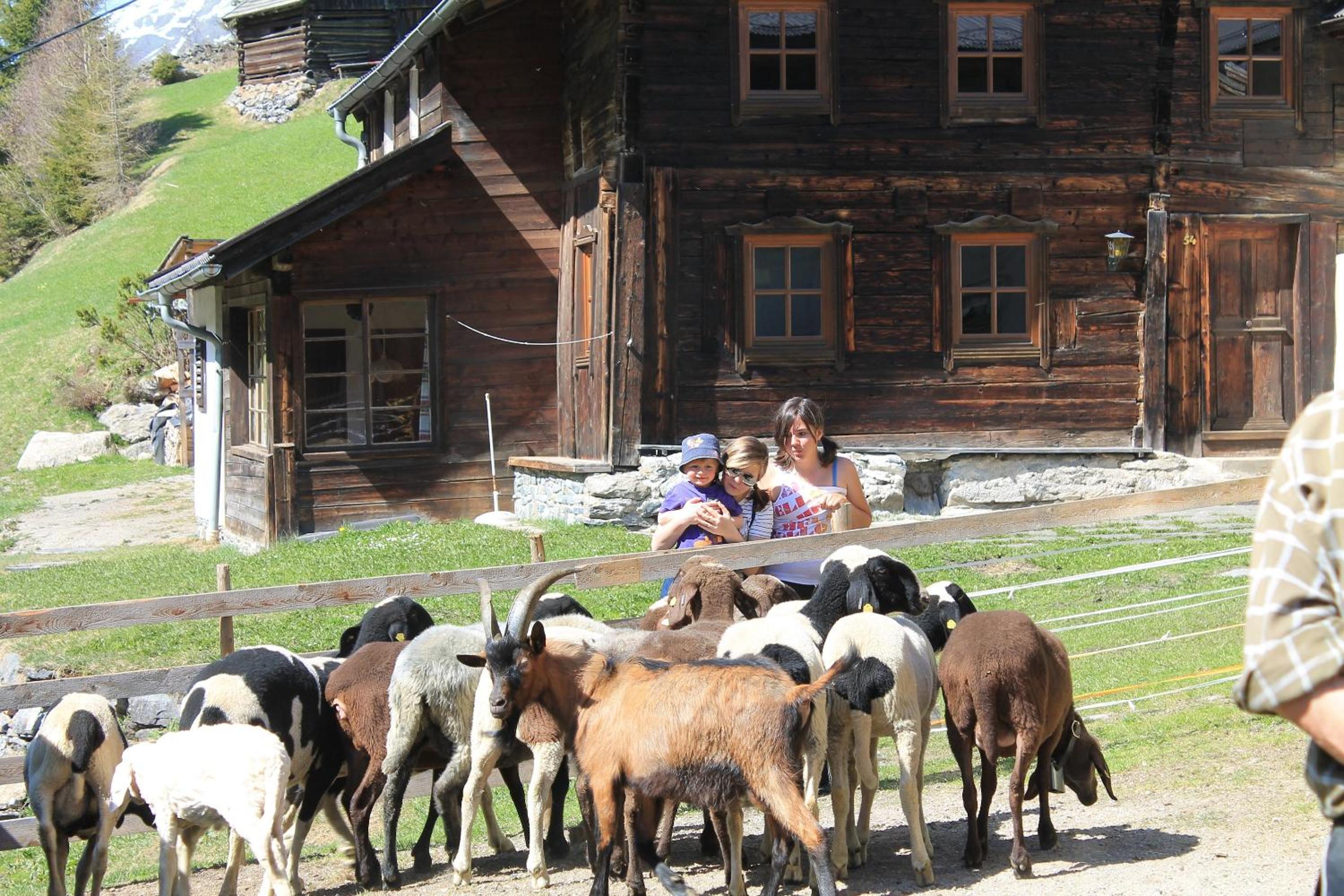 Photo 44