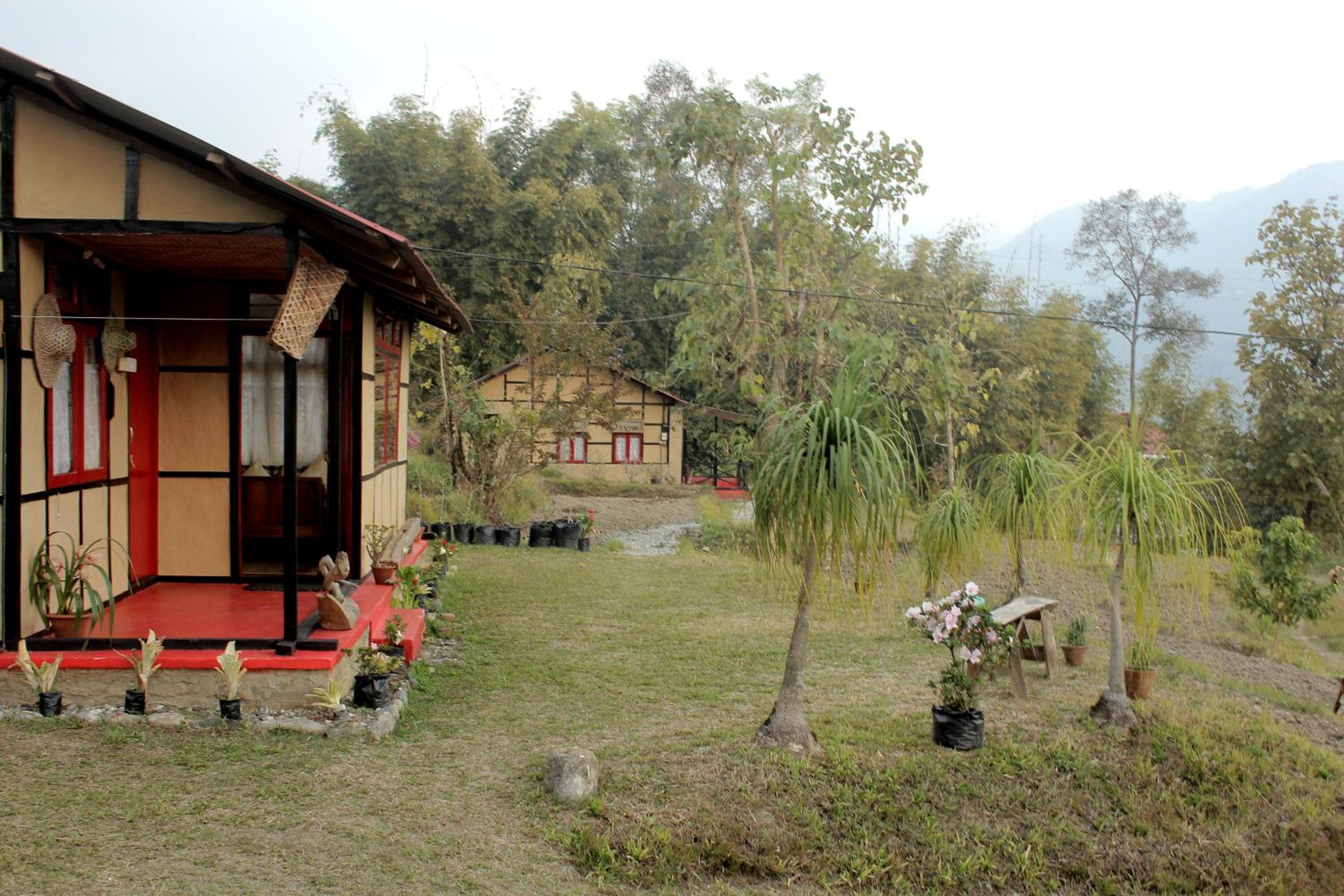 Photo 47