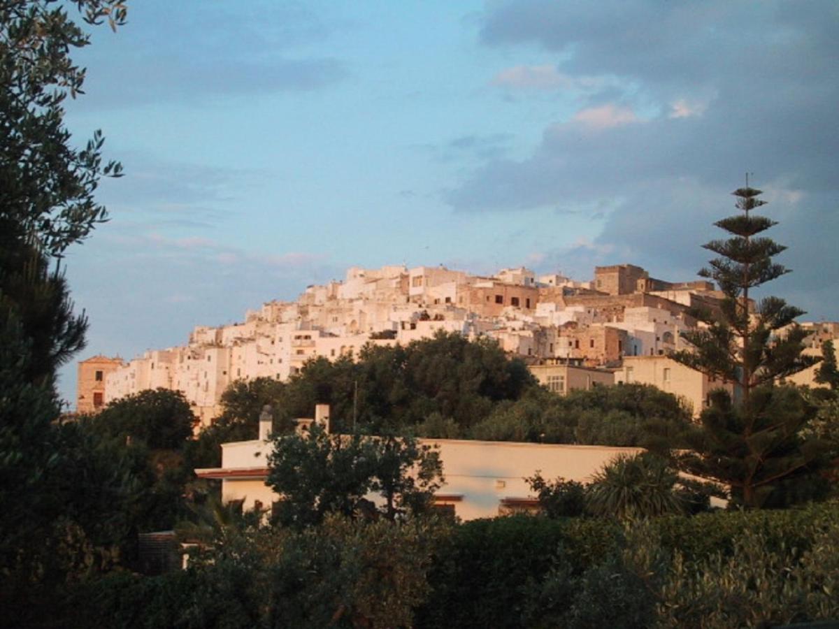 Magnificent villa close to the historic town of Ostuni and beaches photo 4