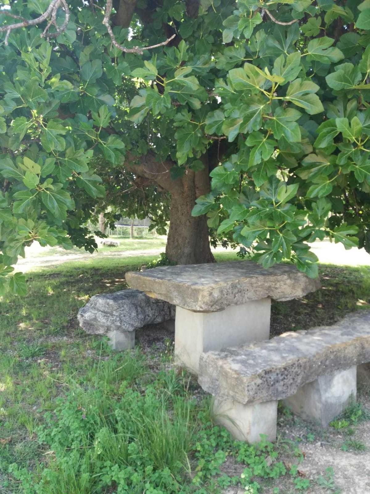 Photo 20