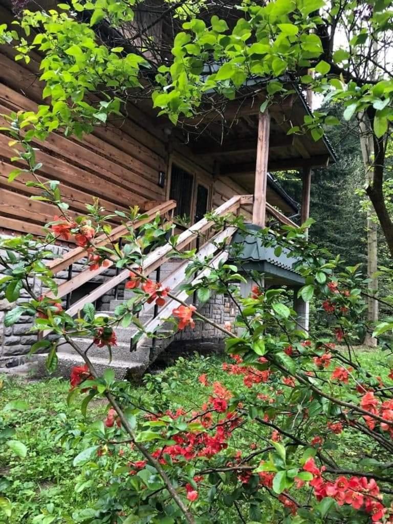 Photo 19
