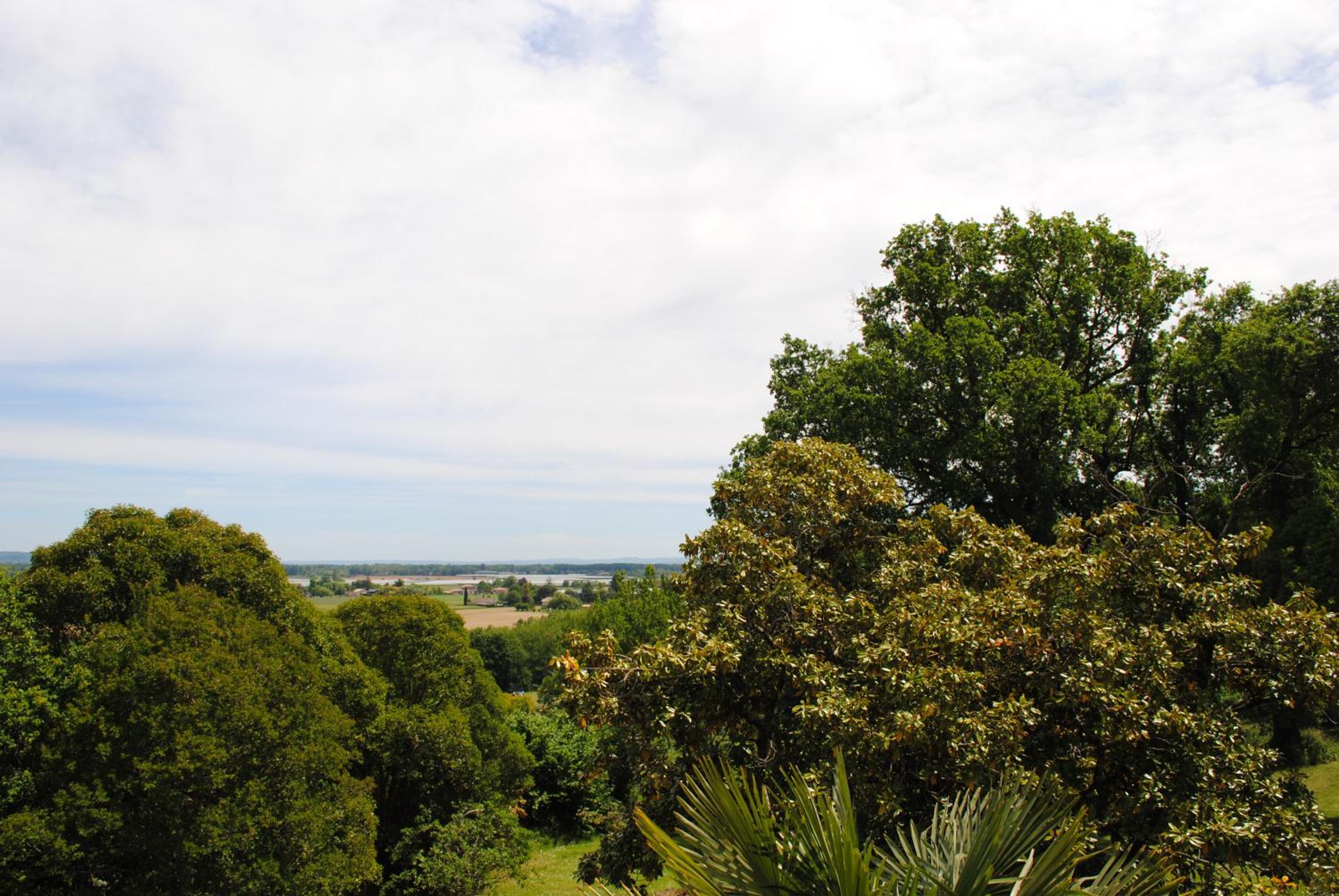 Photo 48