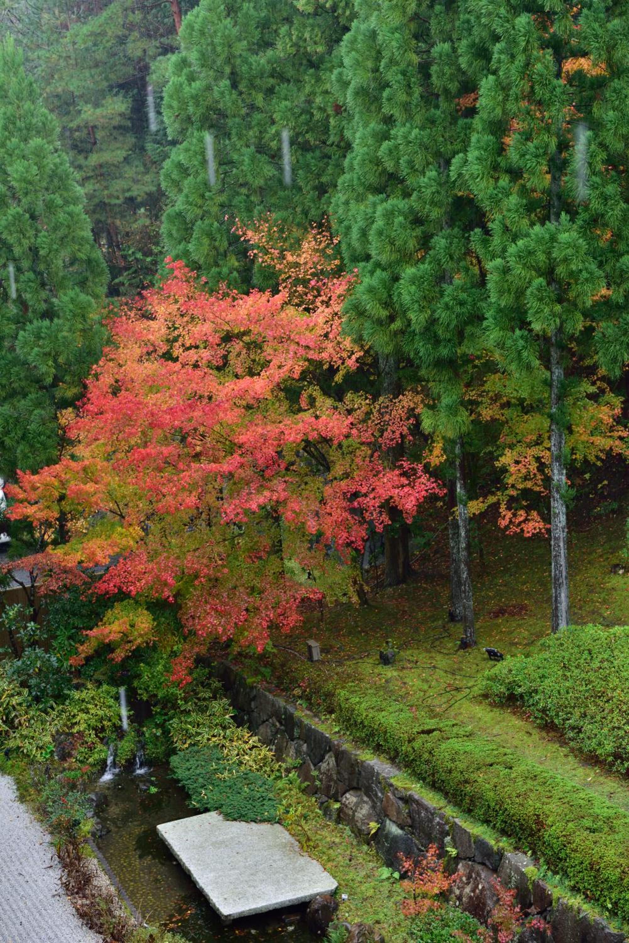 Kyo Yunohana Resort Suisen