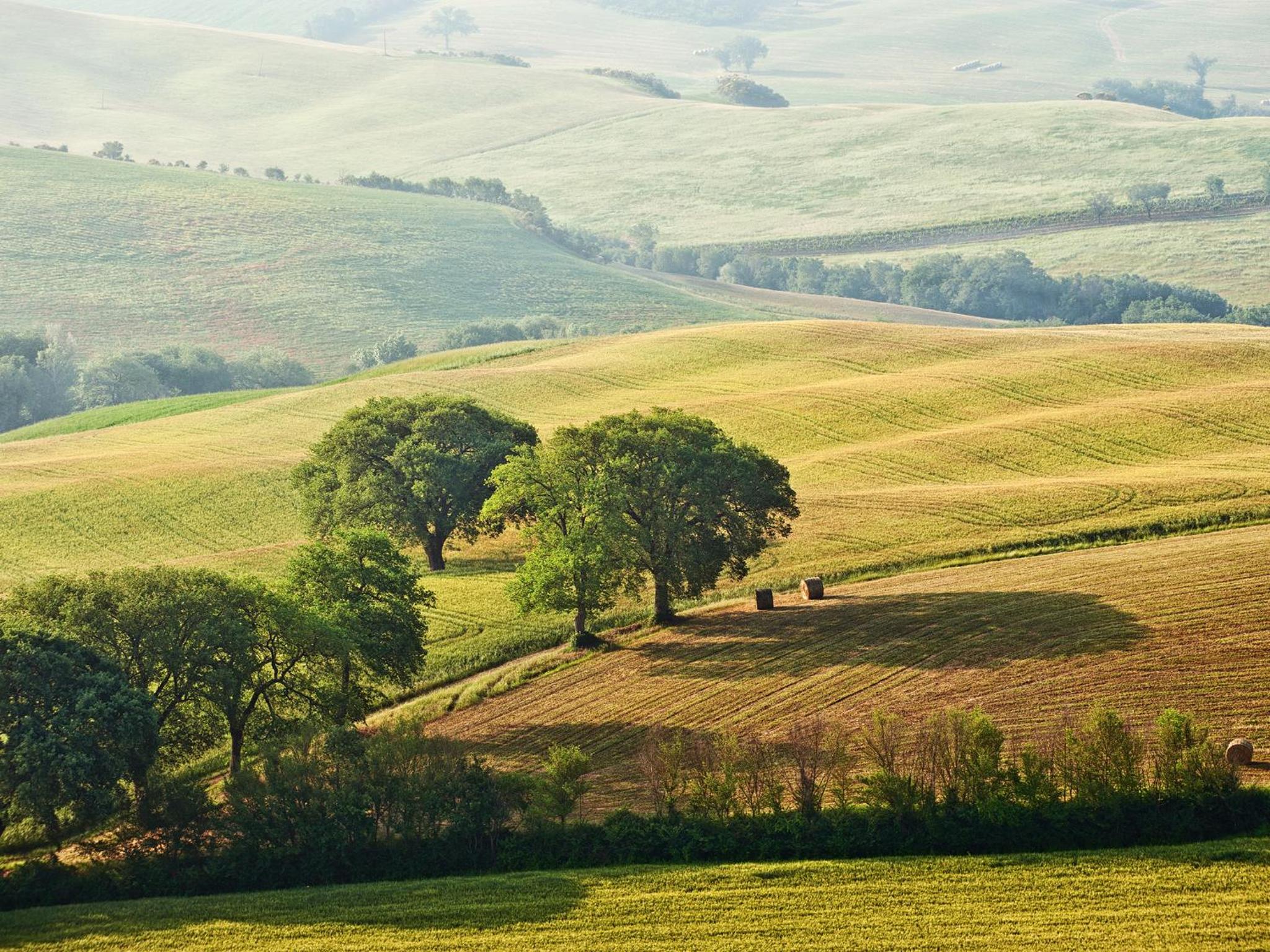 Agriturismo La Buca di Bellugi