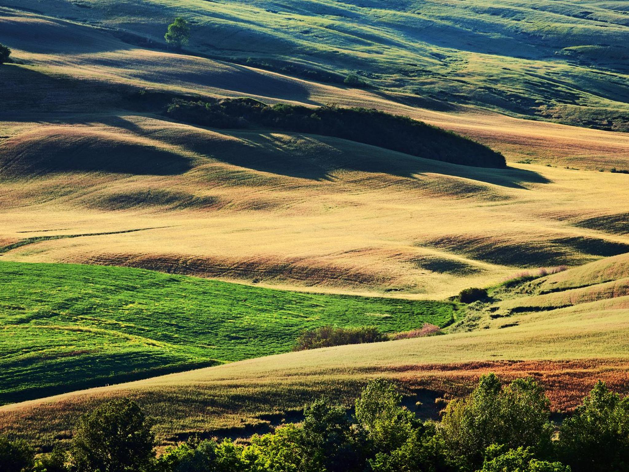 Agriturismo La Buca di Bellugi