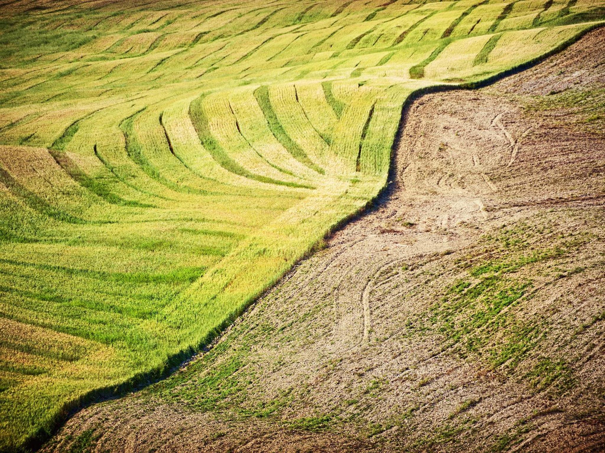 Agriturismo La Buca di Bellugi