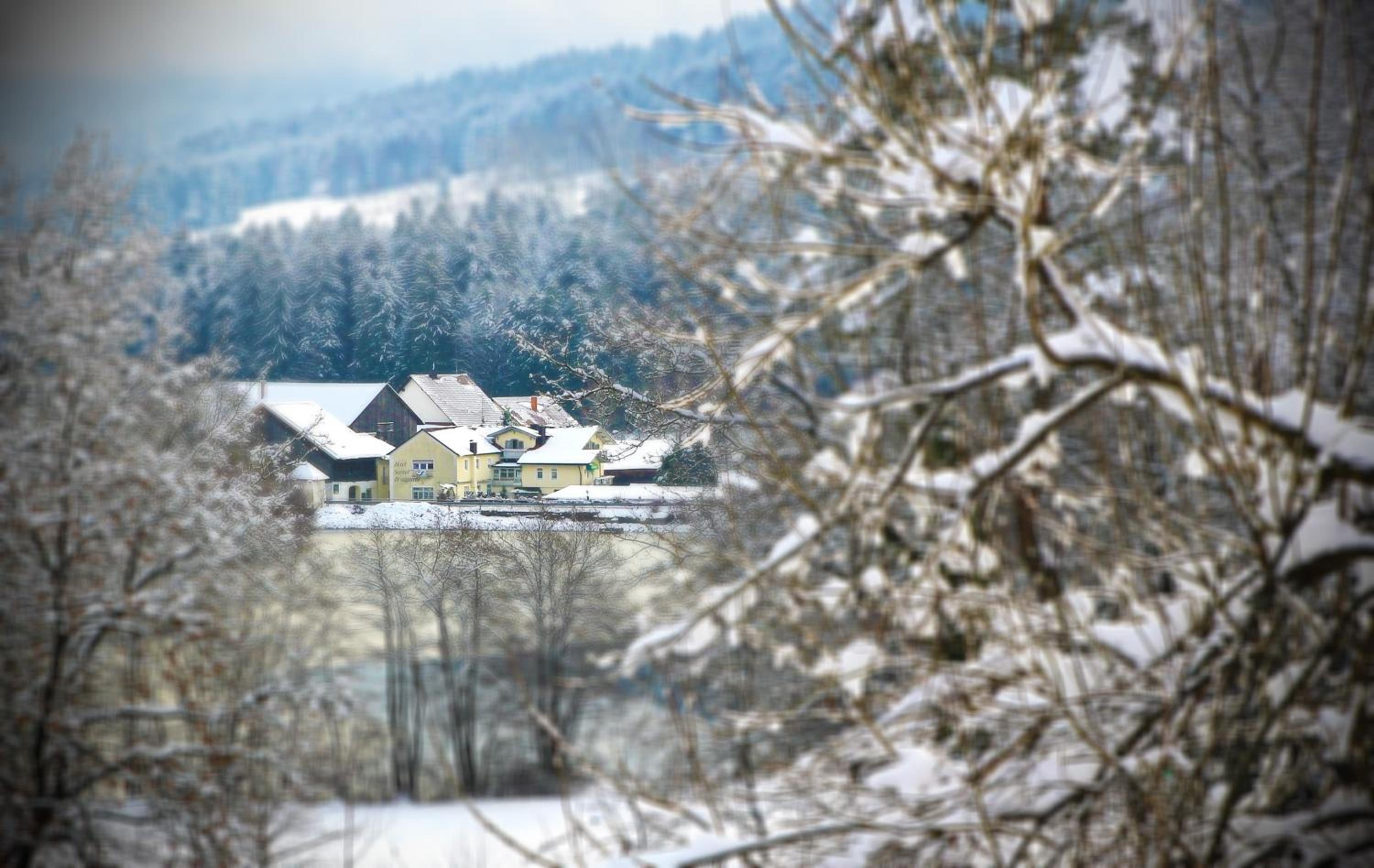 Hotel Der Seehof - Property Image 29