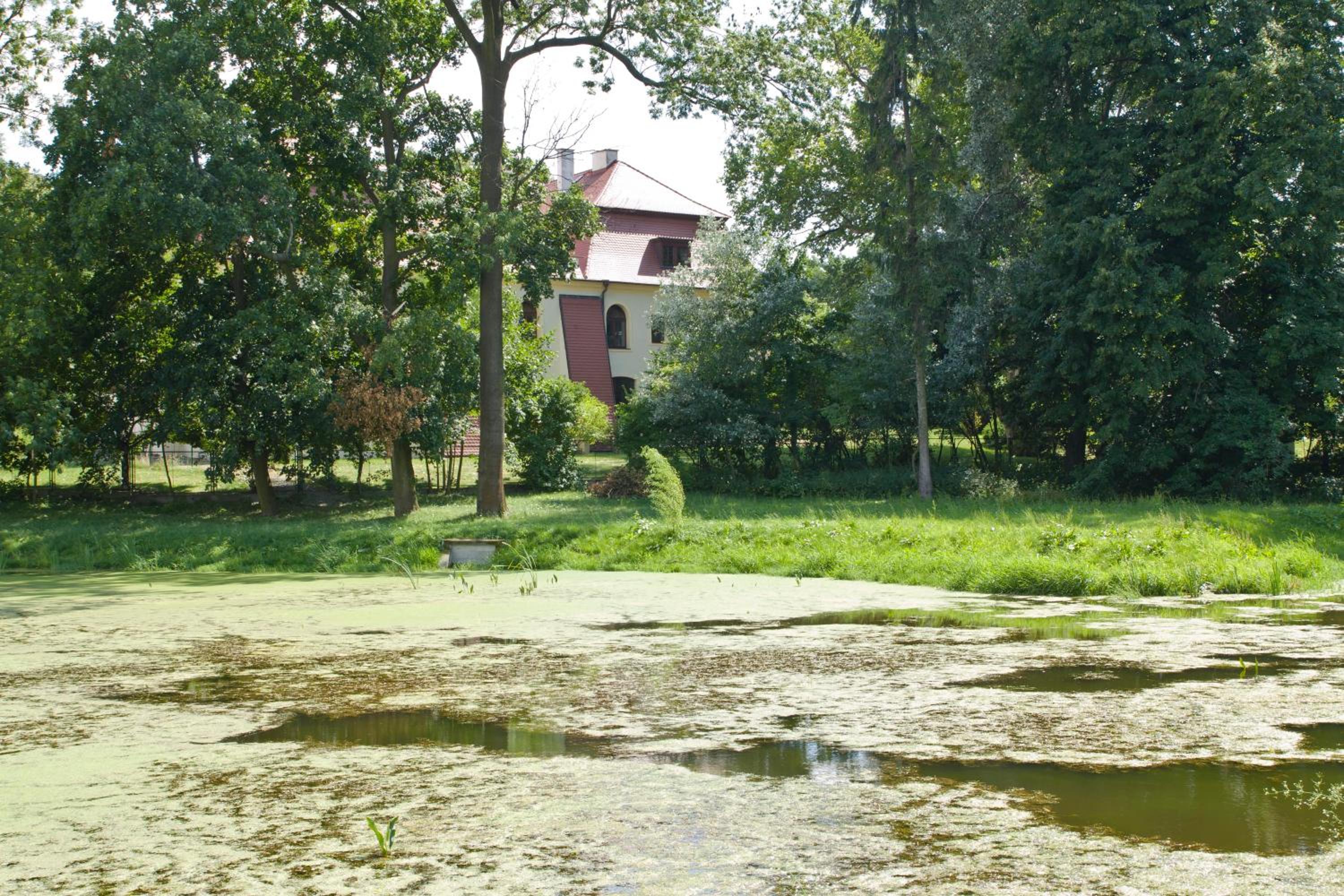 Photo 25