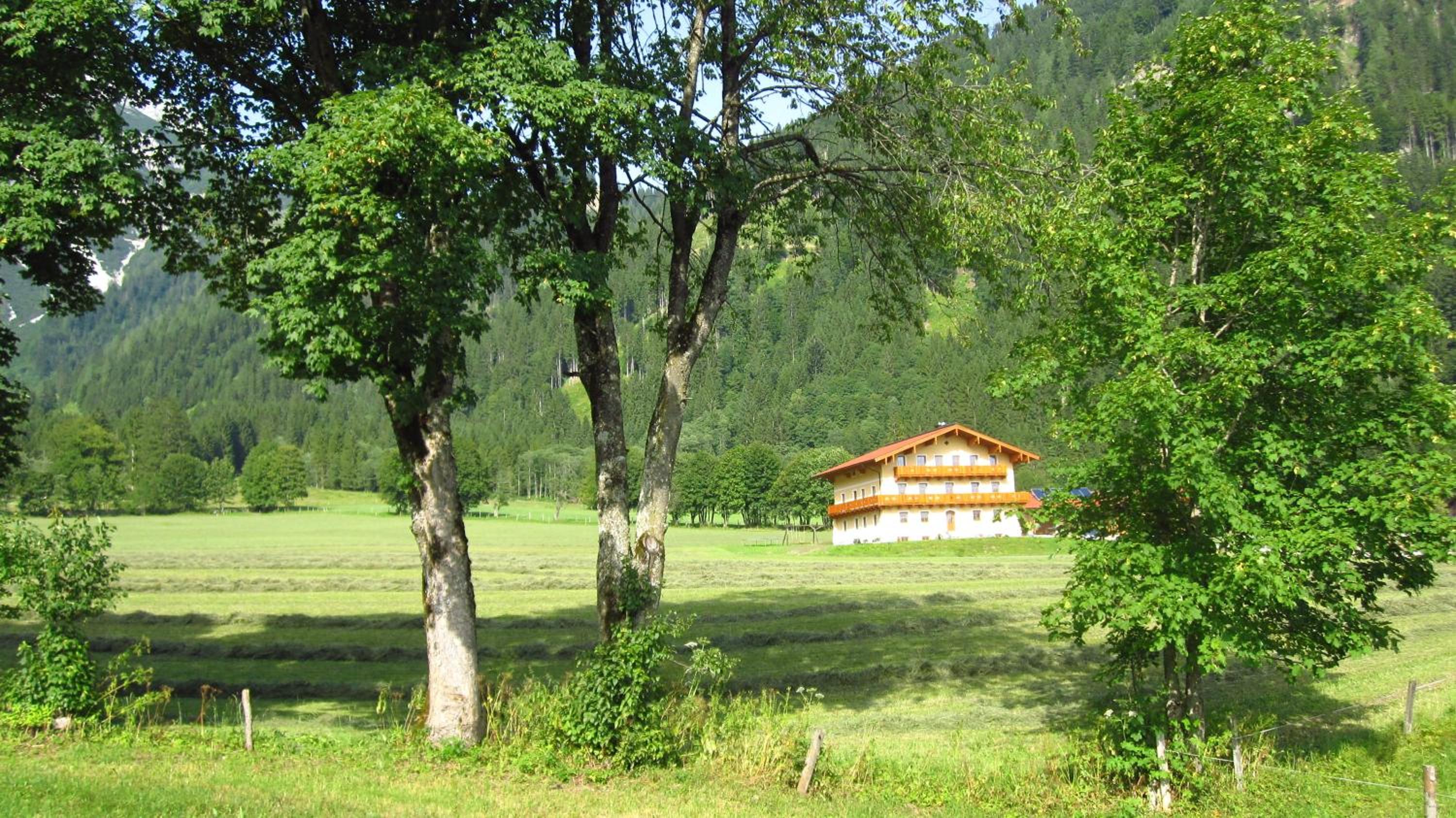 Alpen Appartements Oberlehengut - keine Haustiere - allergikerfreundlich