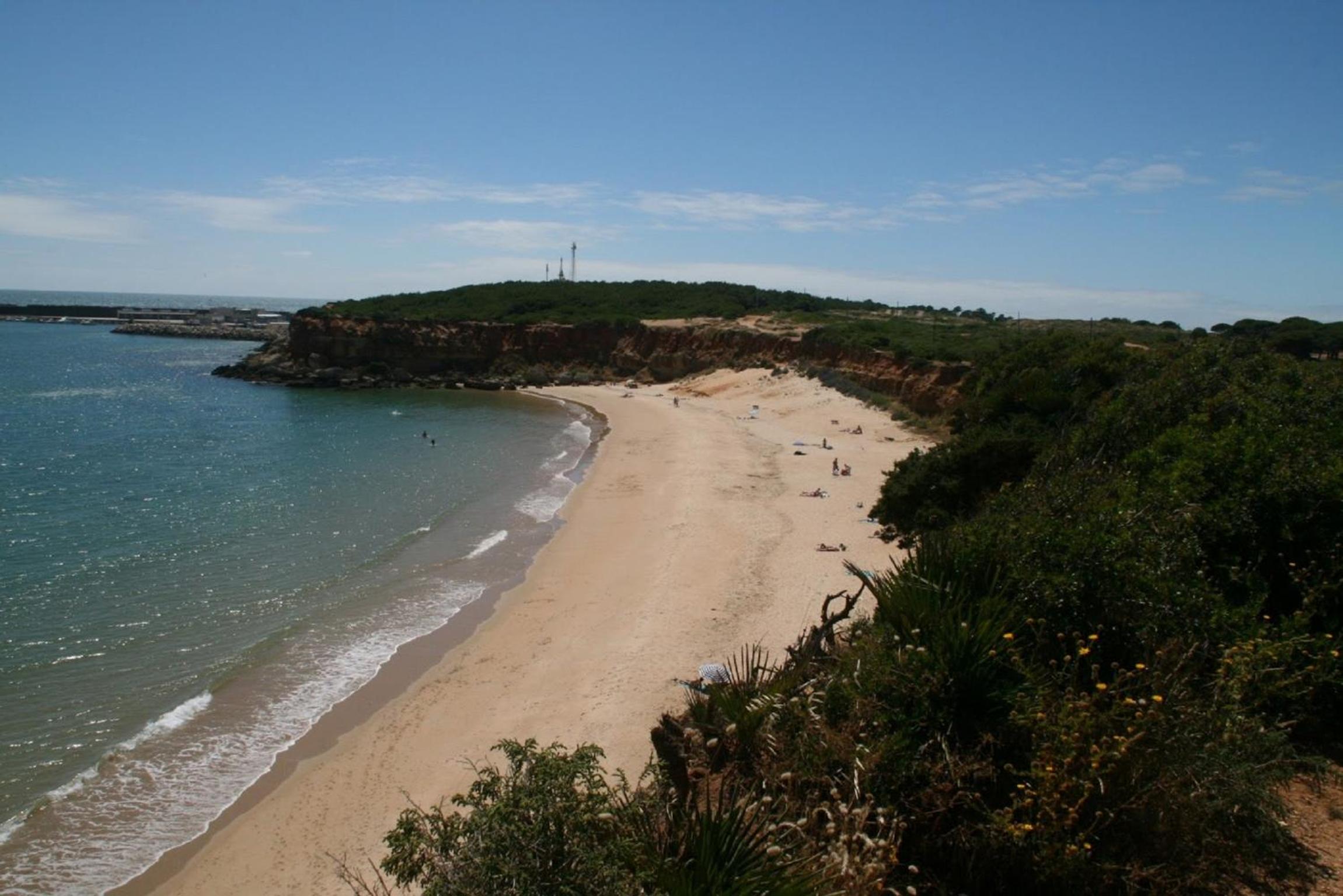 Photo 40