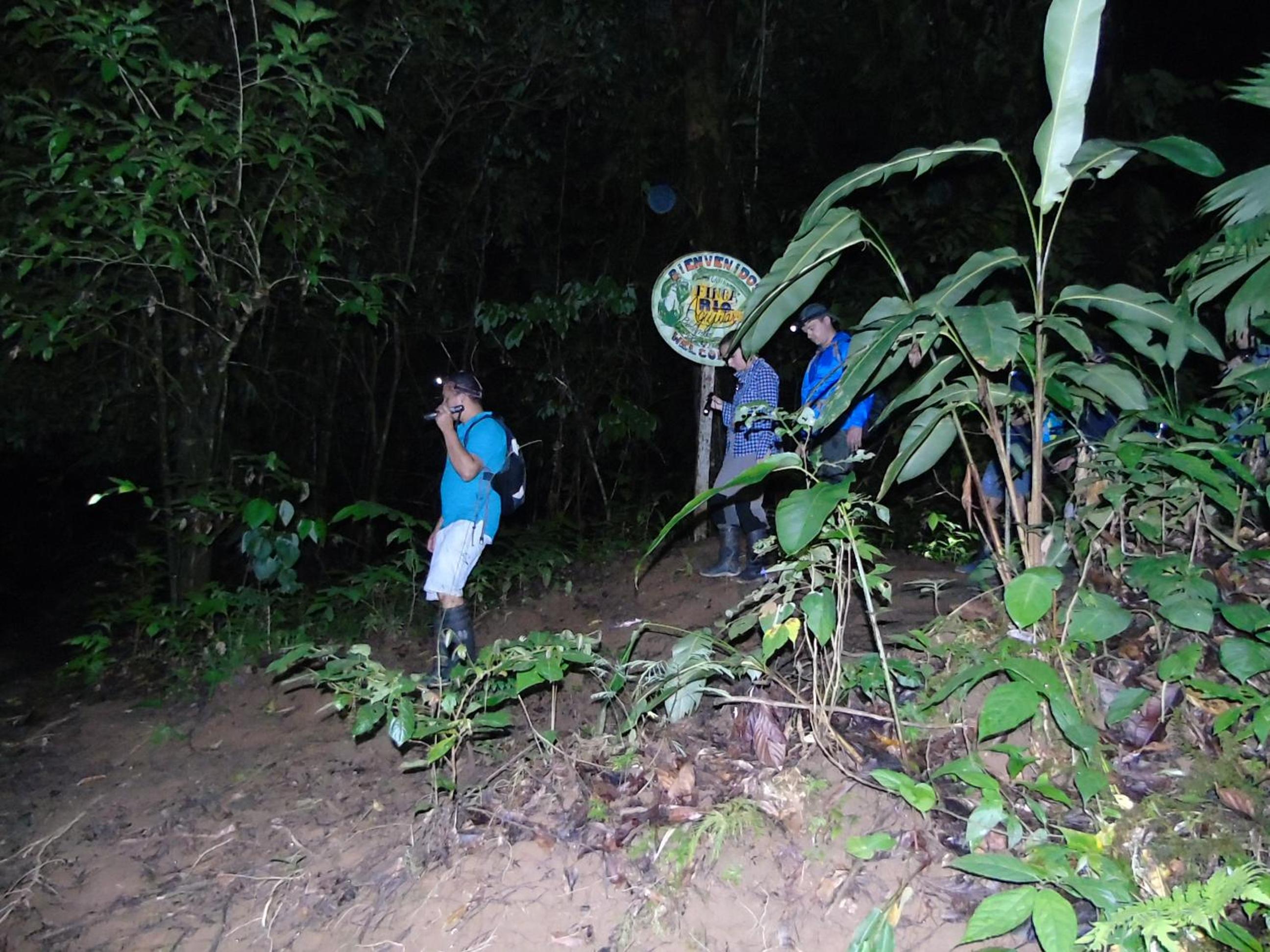Photo 13