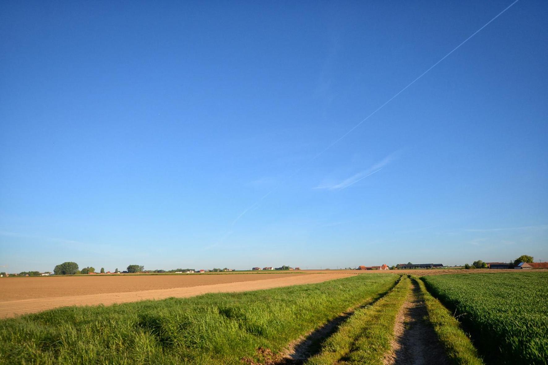 Hoeve Ten Rooden Duifhuize