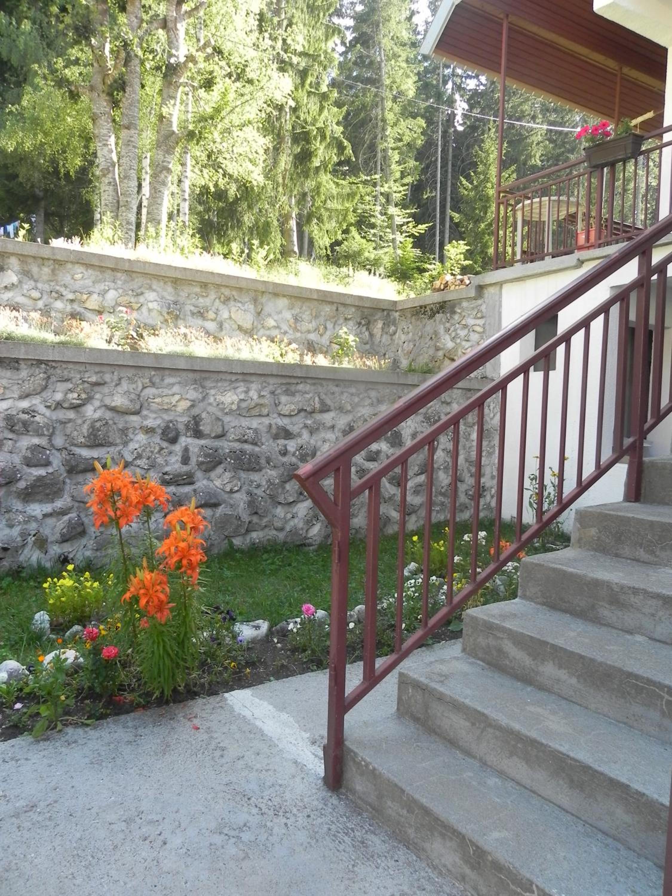 Photo 46