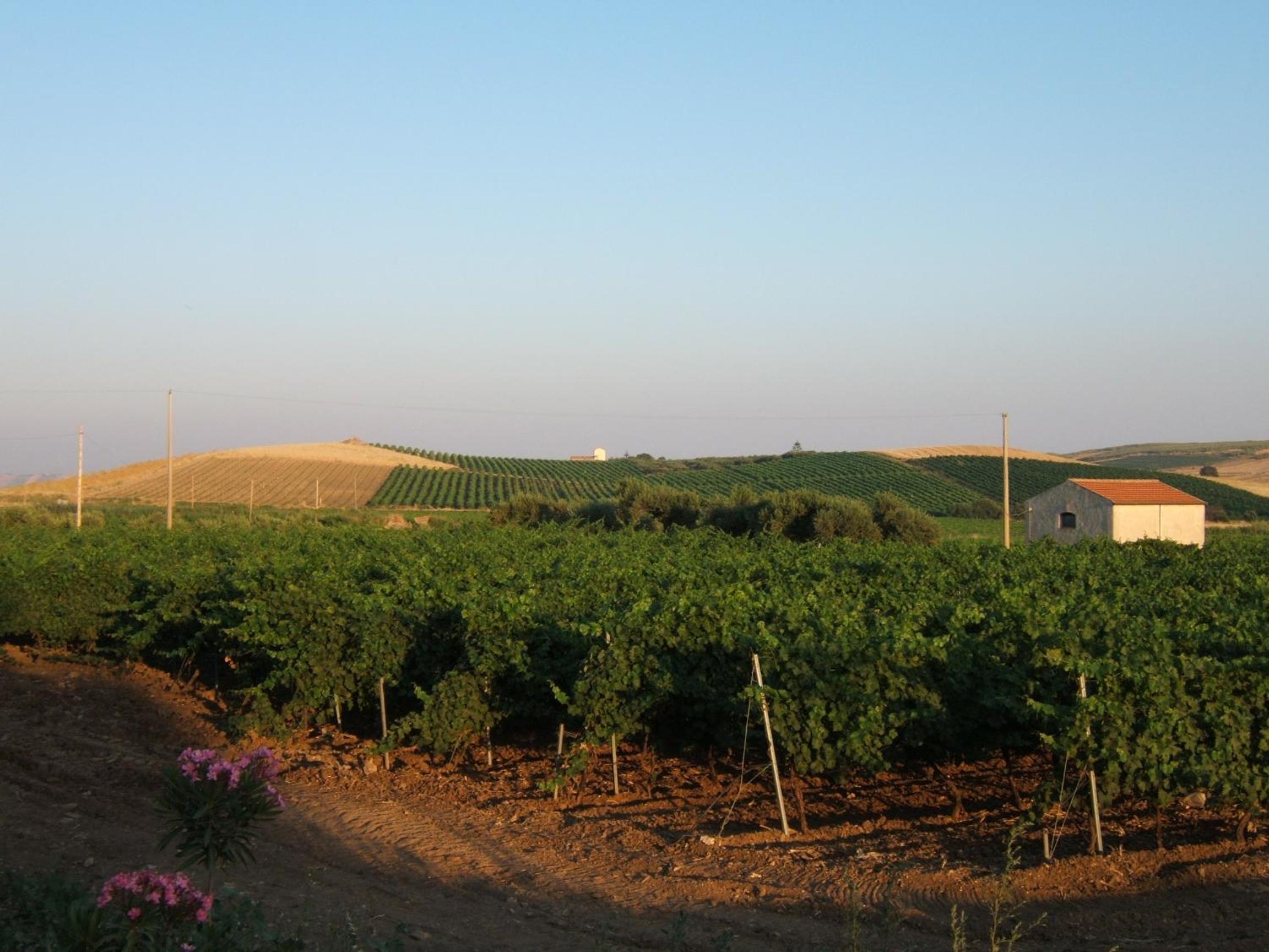Relais Casa Mirabile, photo 74