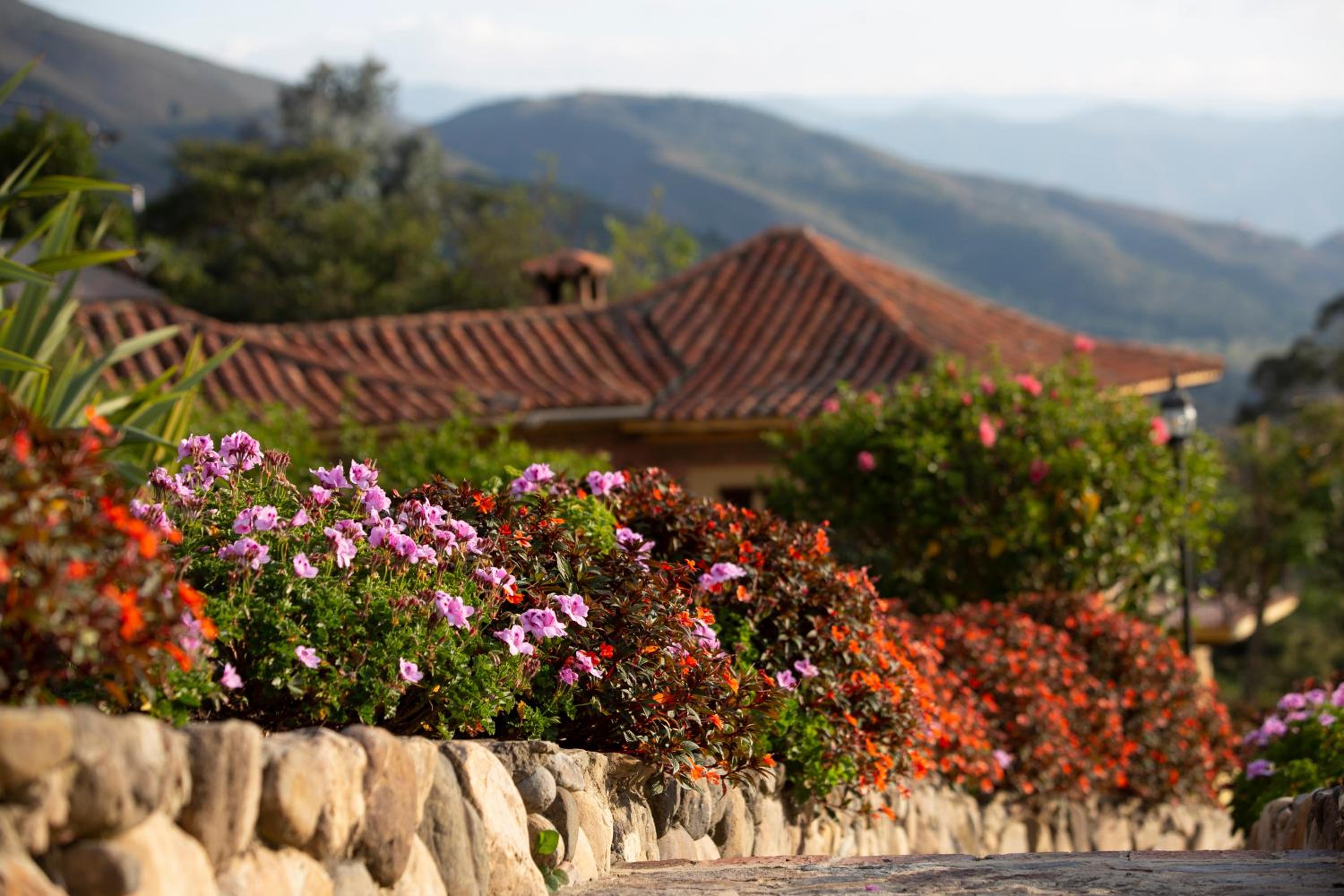 La Primavera, casas campestres para familias, paisajes, tranquilidad, cerca al pueblo